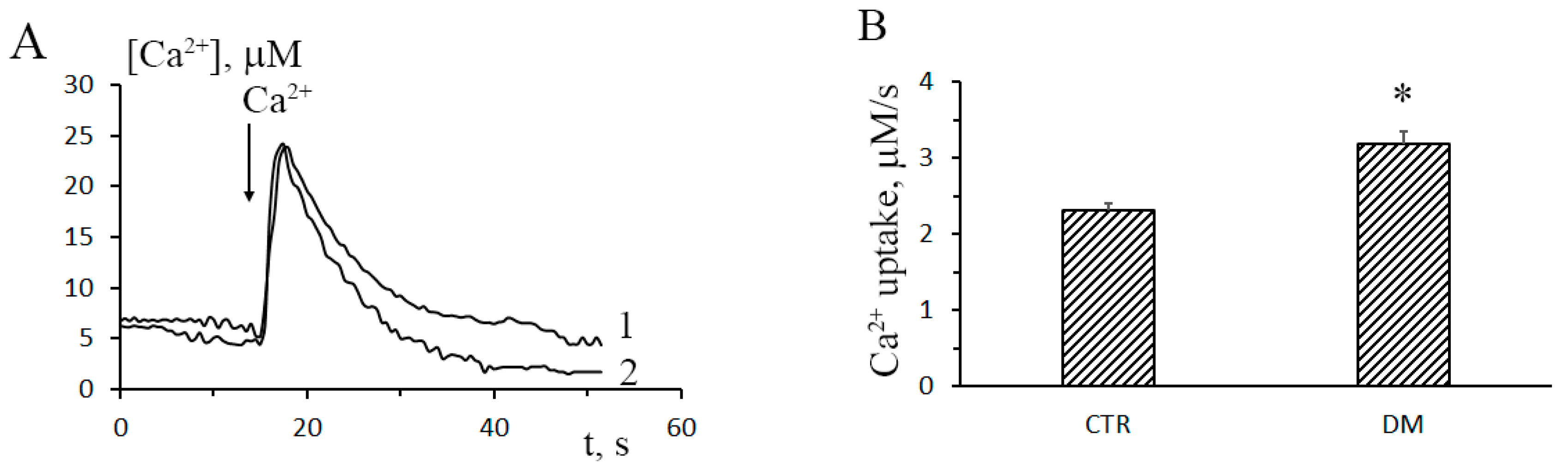 Cells 08 01014 g001a