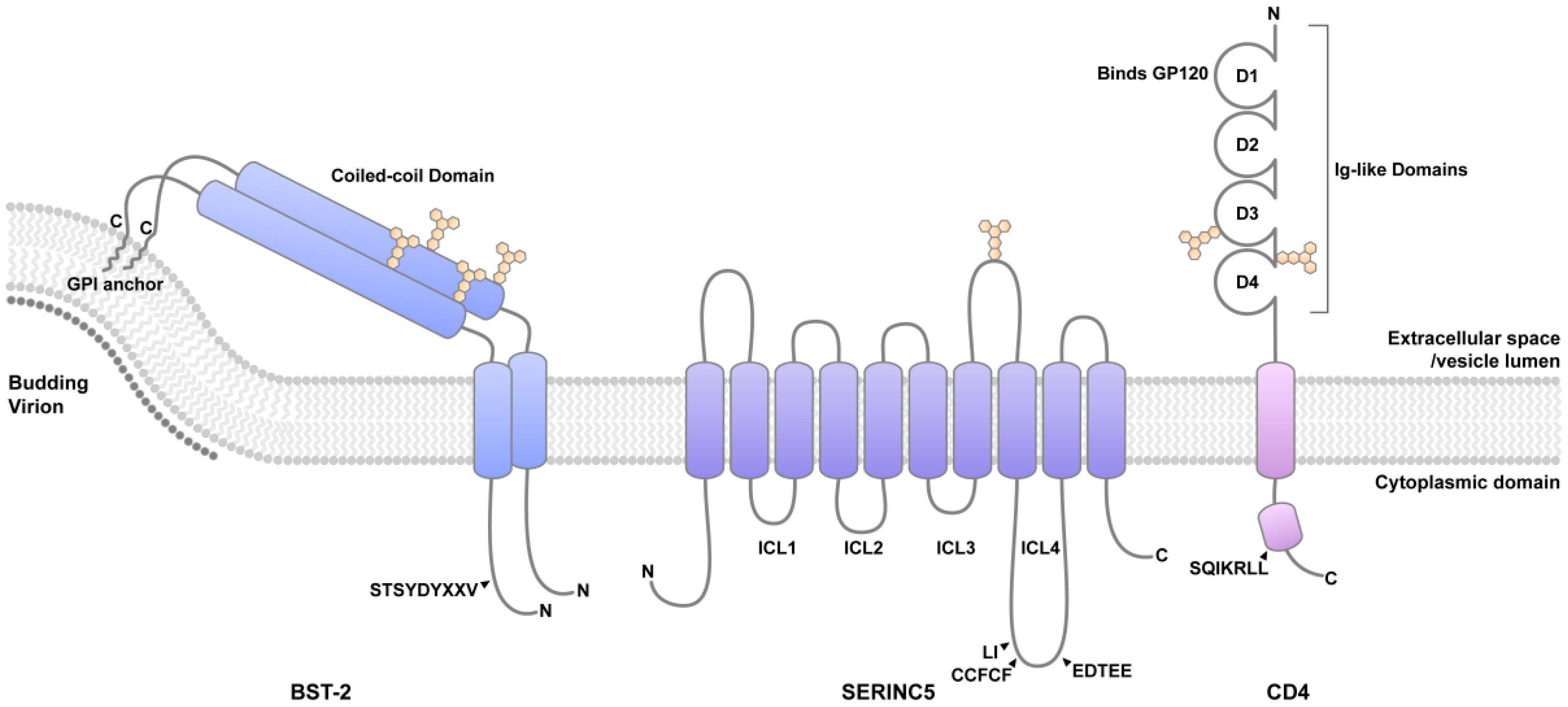 Cells 08 01020 g001 Cells 08 01020 g001