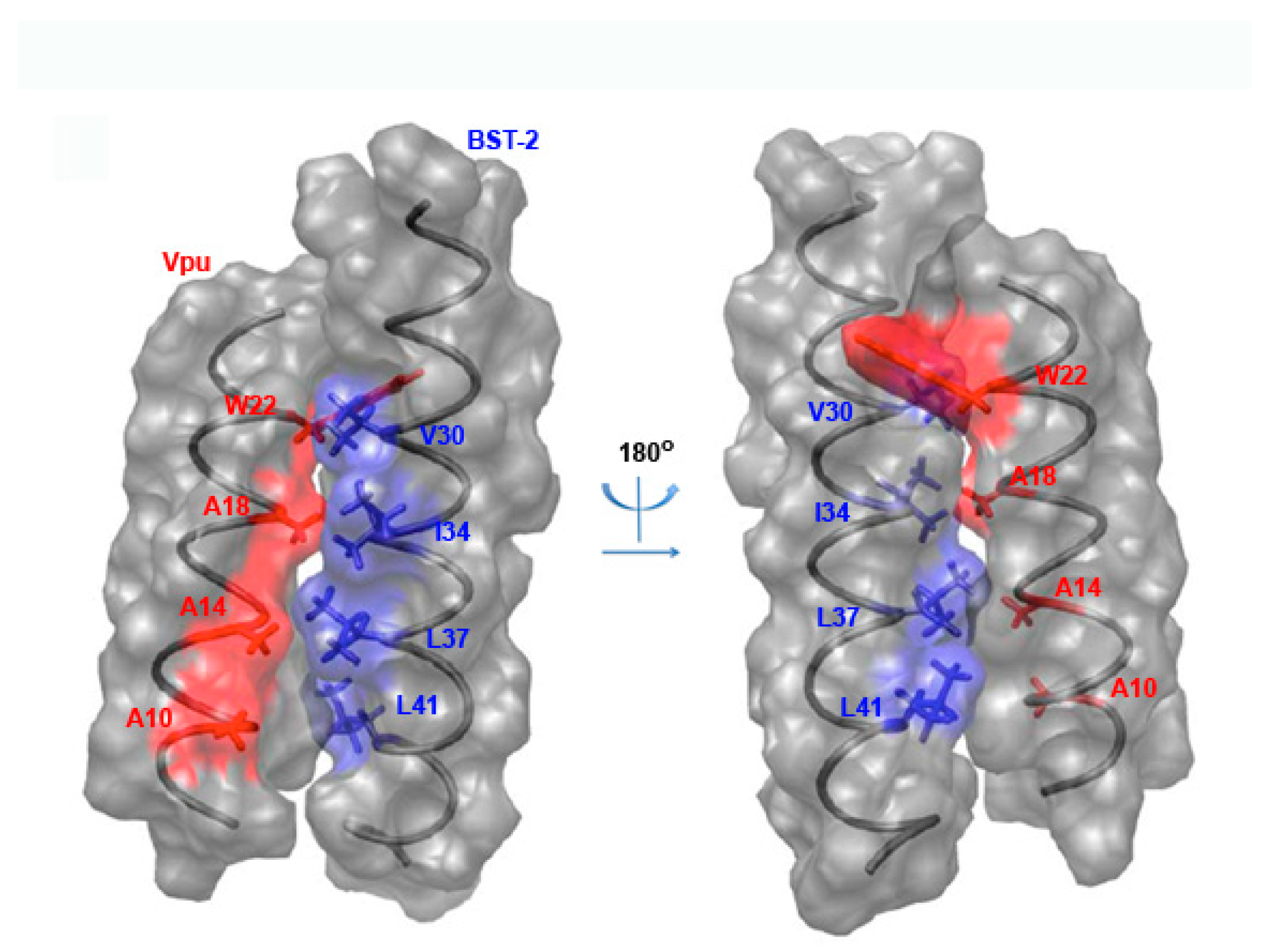 Cells 08 01020 g004 Cells 08 01020 g004