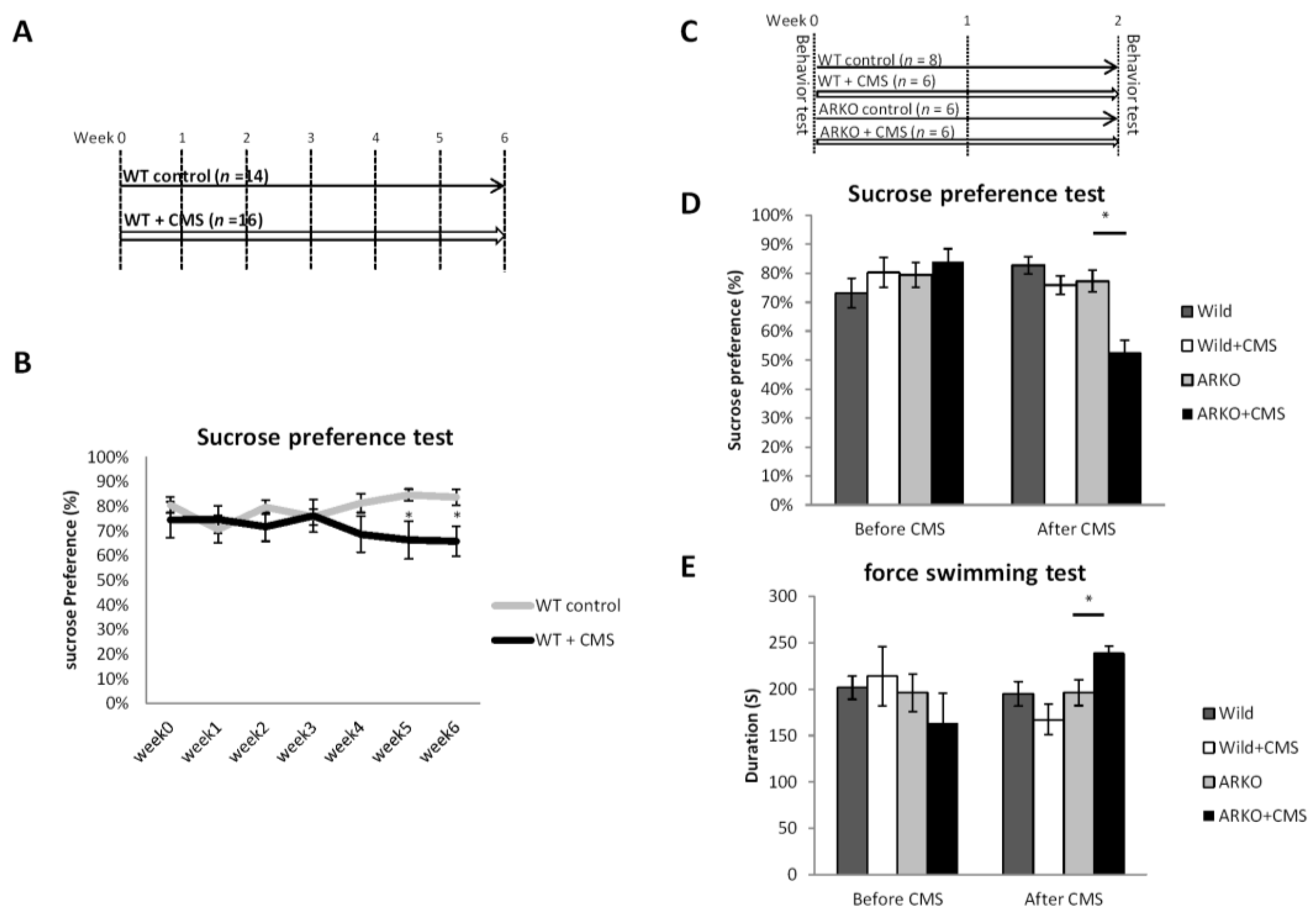 Cells 08 01021 g001 Cells 08 01021 g001