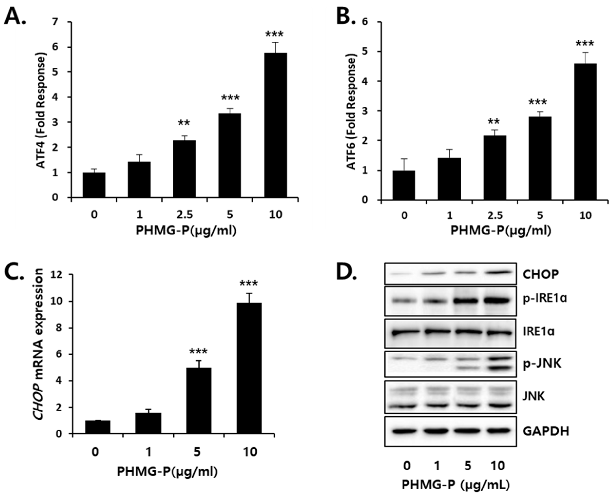 Cells 08 01023 g005 Cells 08 01023 g005