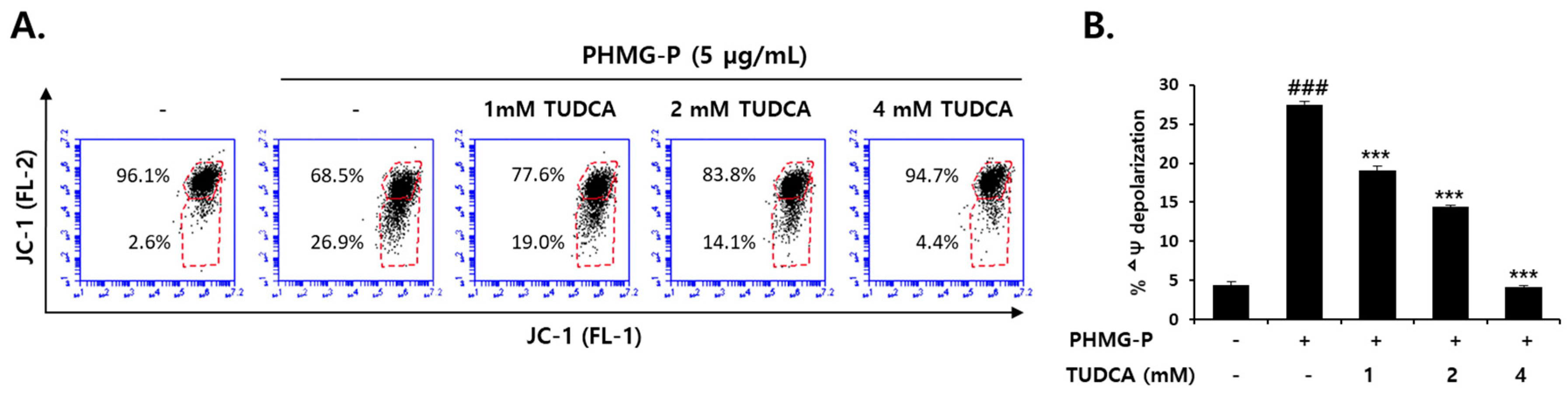 Cells 08 01023 g008 Cells 08 01023 g008