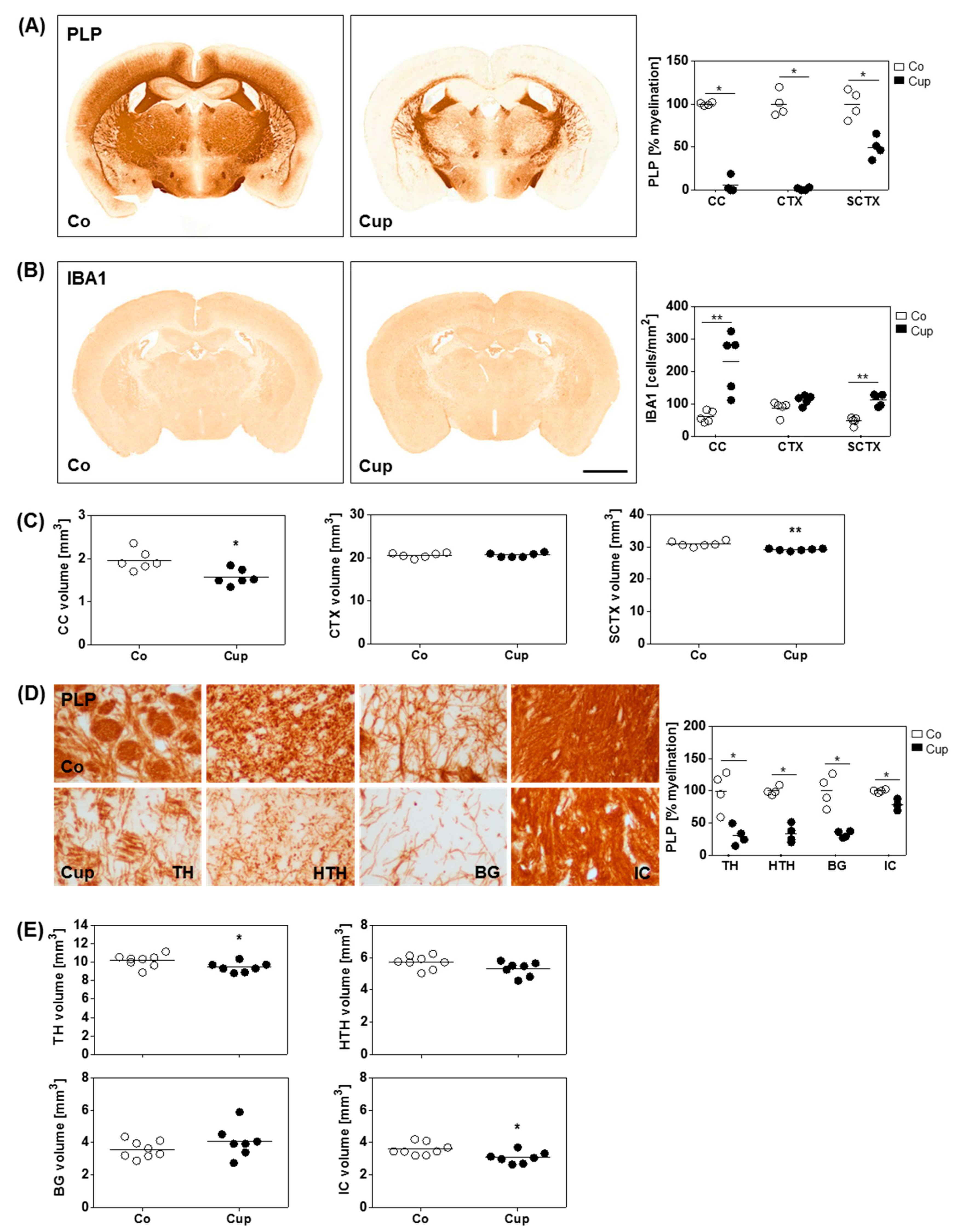 design-based stereology in neuroscience design-based stereology in neuroscience