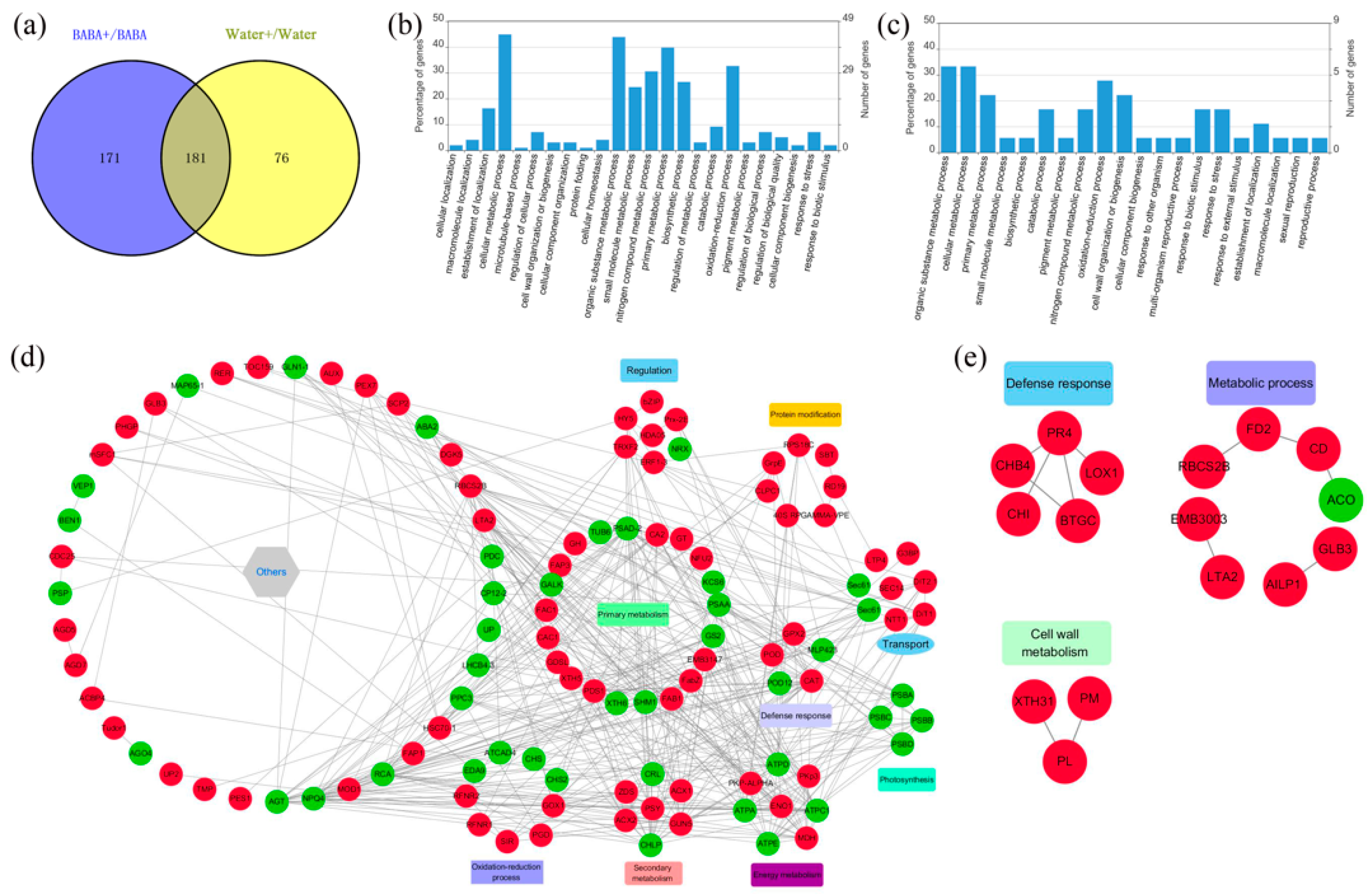 Cells 08 01029 g005 Cells 08 01029 g005