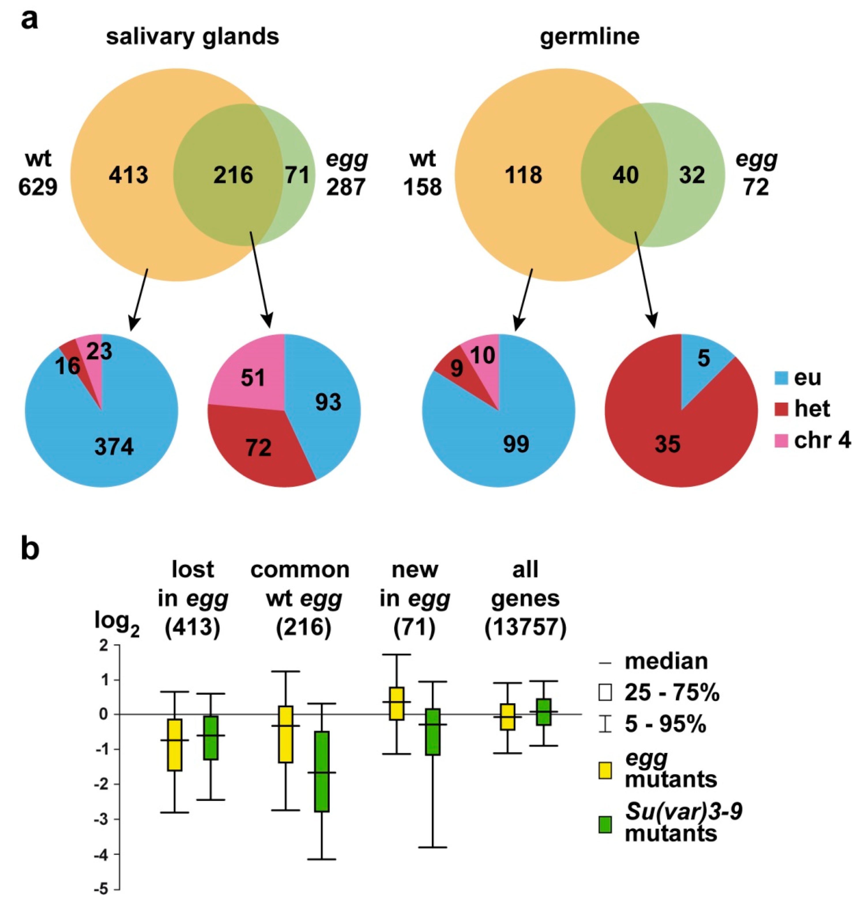 Cells 08 01030 g001 Cells 08 01030 g001
