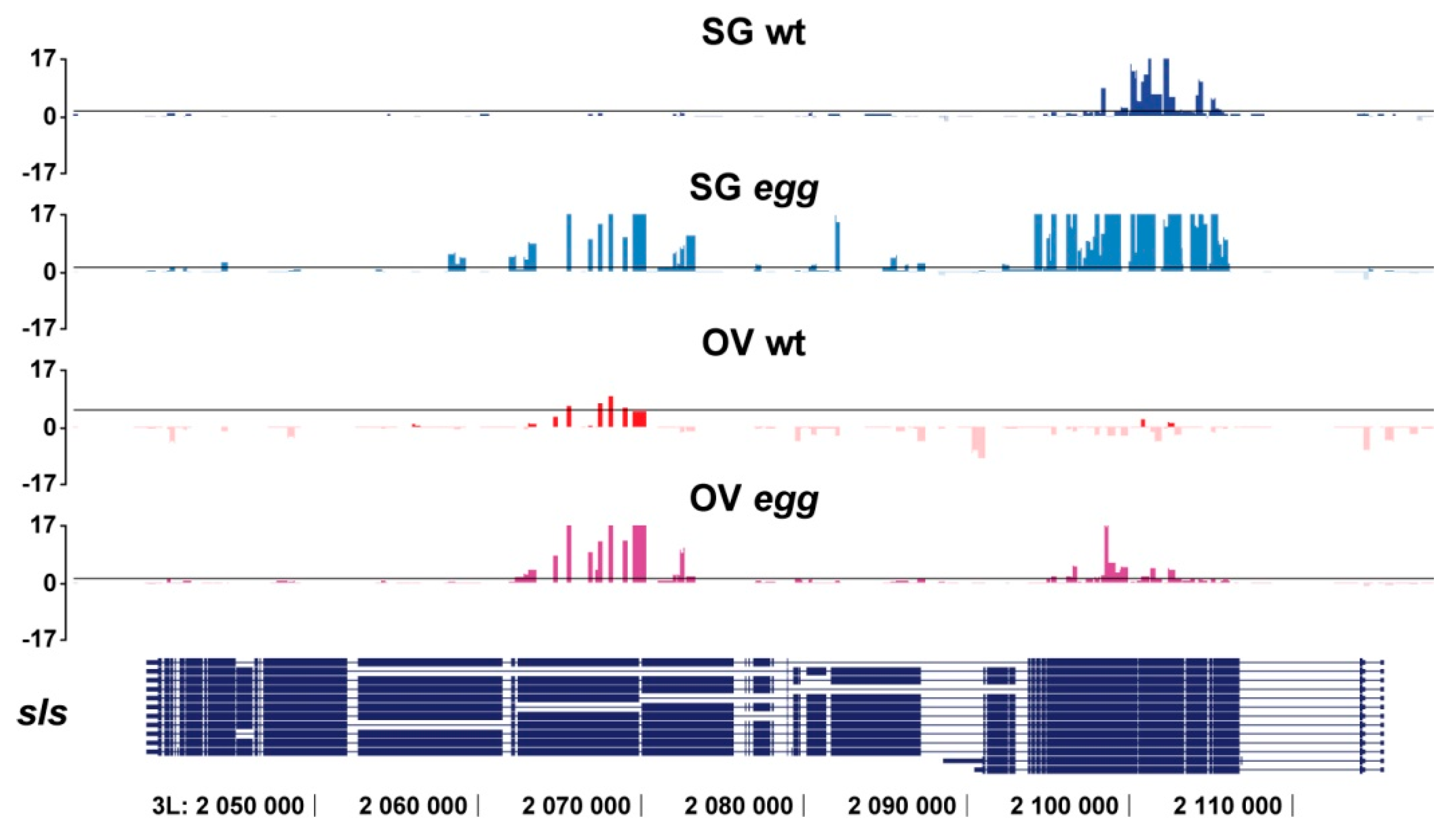 Cells 08 01030 g002 Cells 08 01030 g002