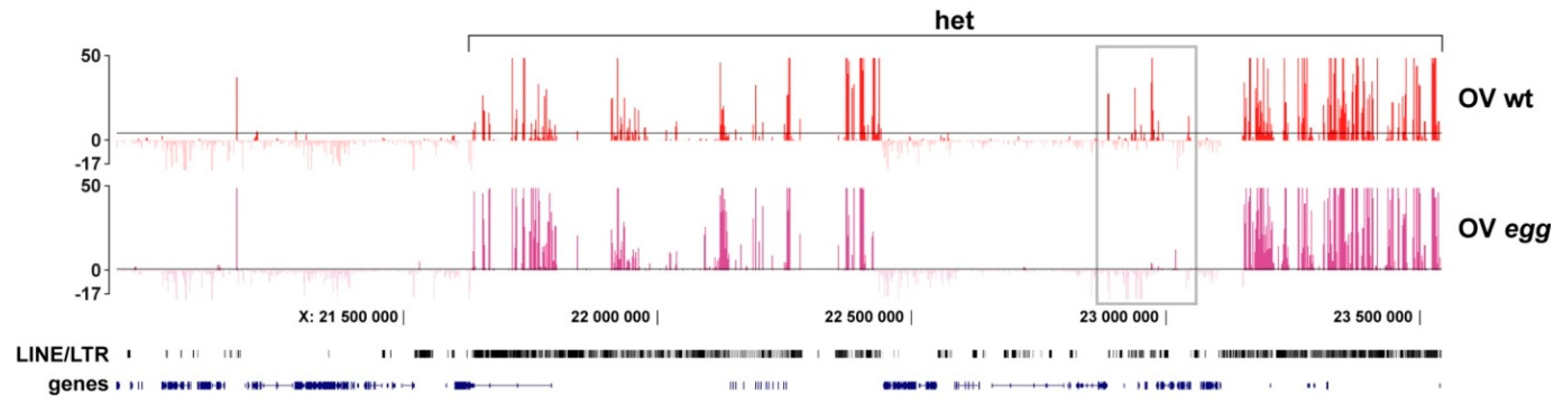 Cells 08 01030 g003 Cells 08 01030 g003