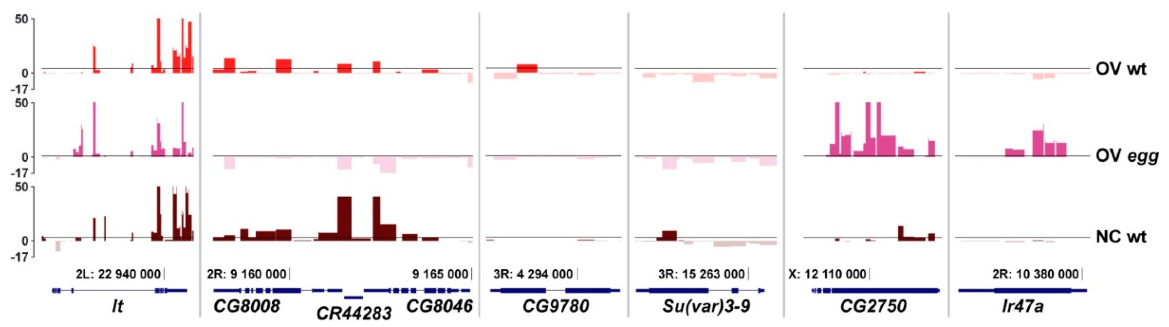 Cells 08 01030 g005 Cells 08 01030 g005