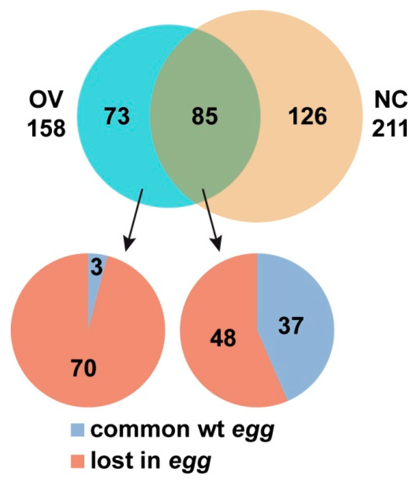 Cells 08 01030 g006 Cells 08 01030 g006