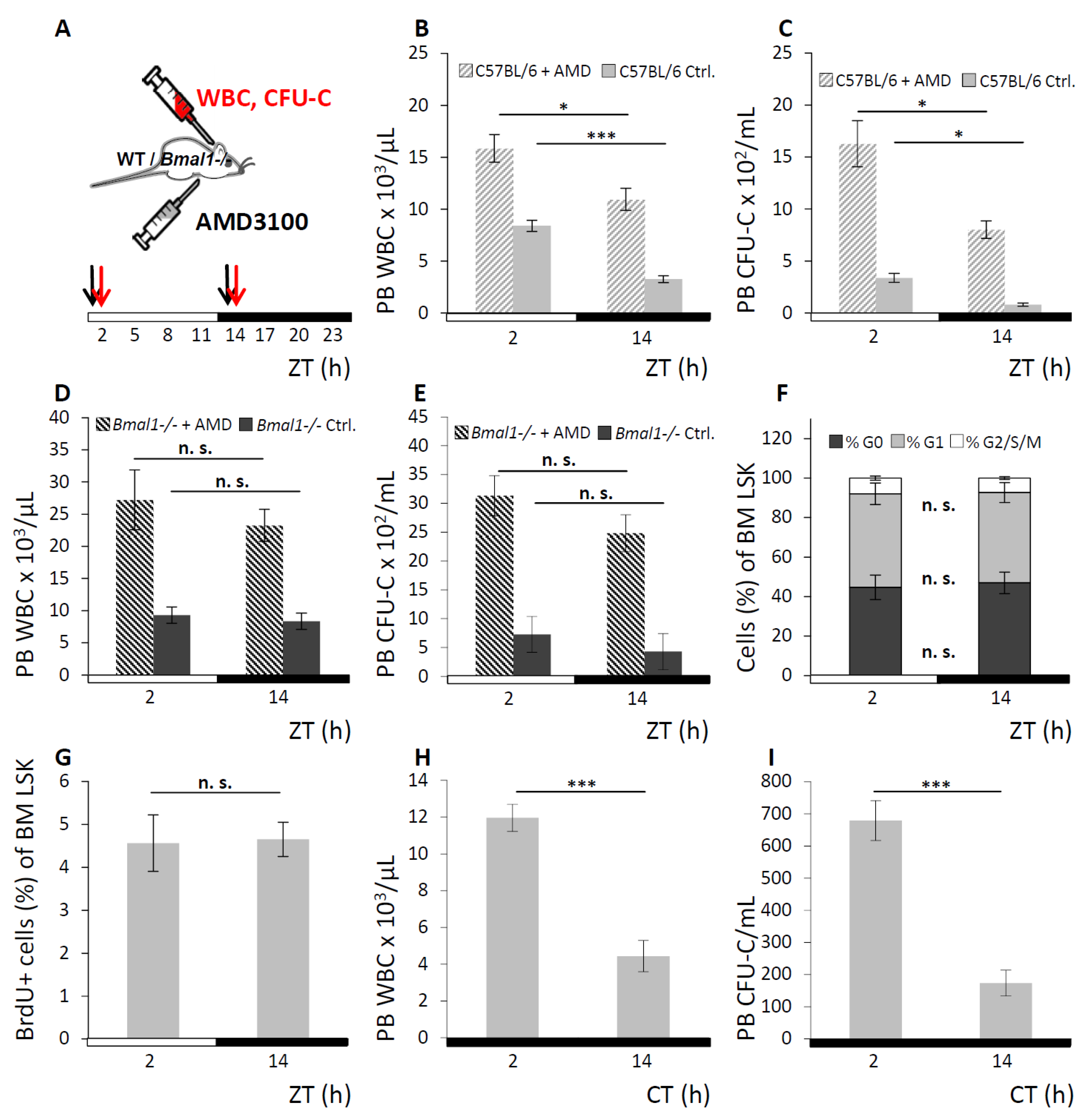 Cells 08 01033 g003 Cells 08 01033 g003