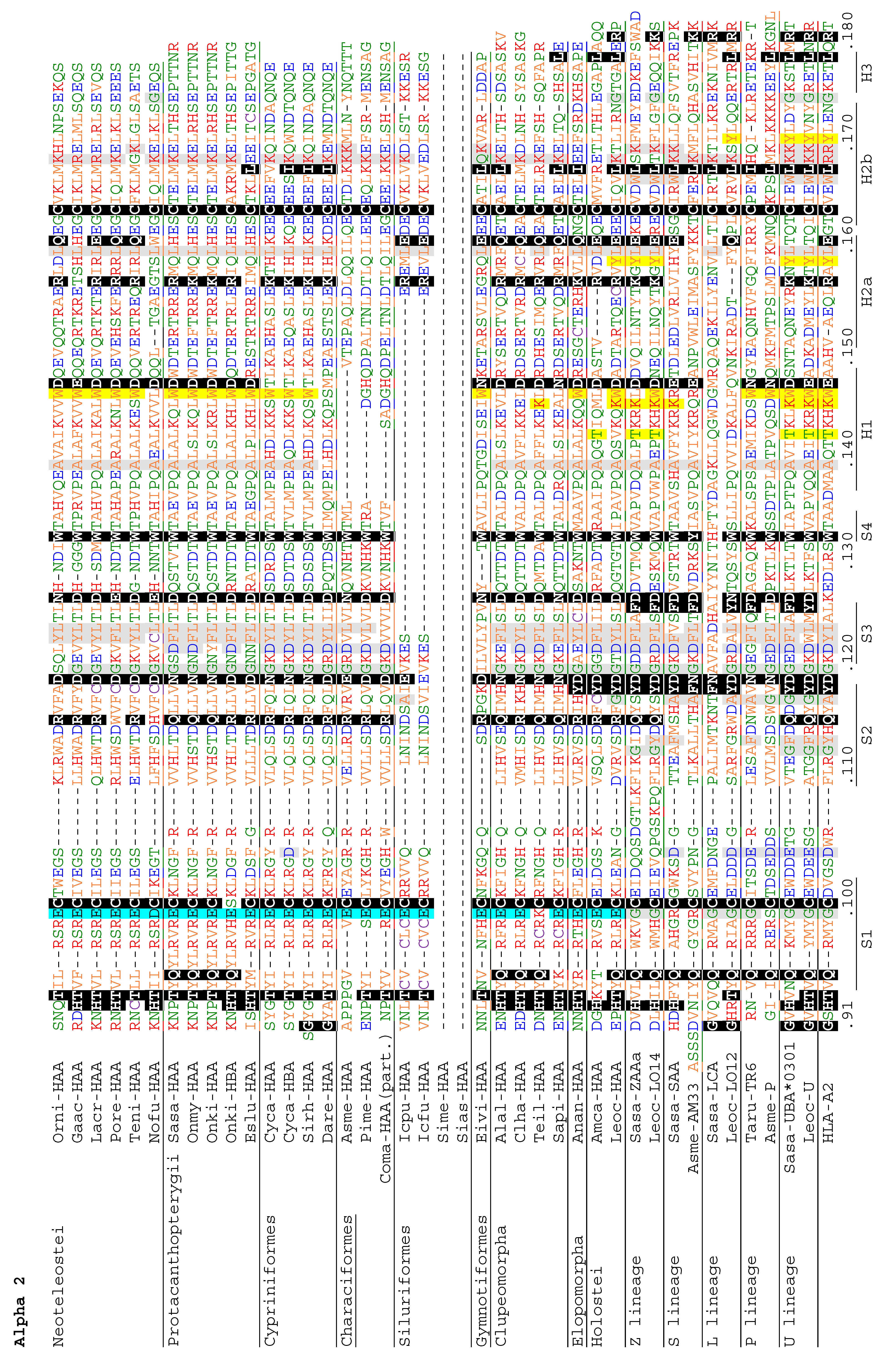 Cells 08 01056 g004c Cells 08 01056 g004c