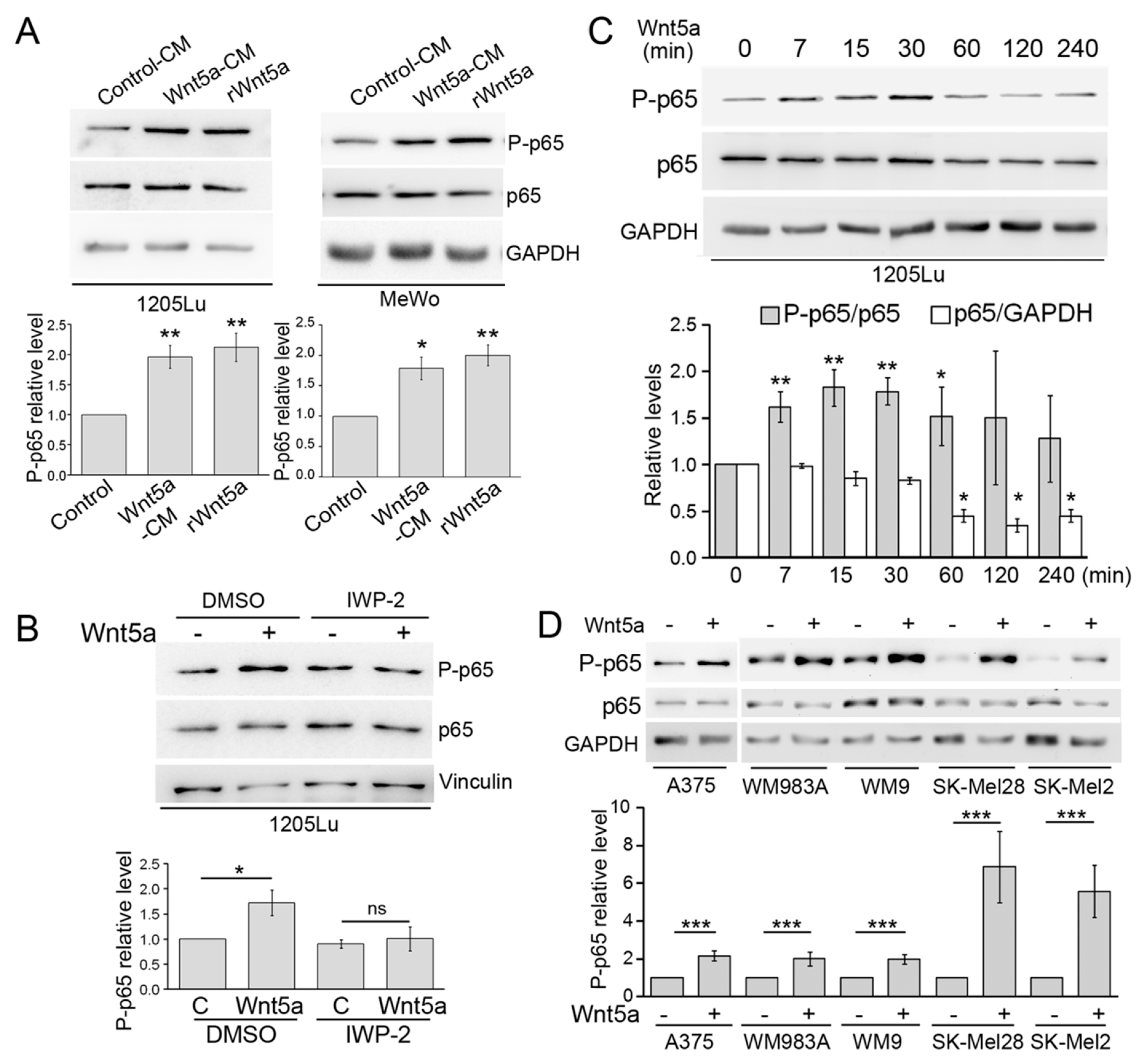 Cells 08 01060 g001 Cells 08 01060 g001