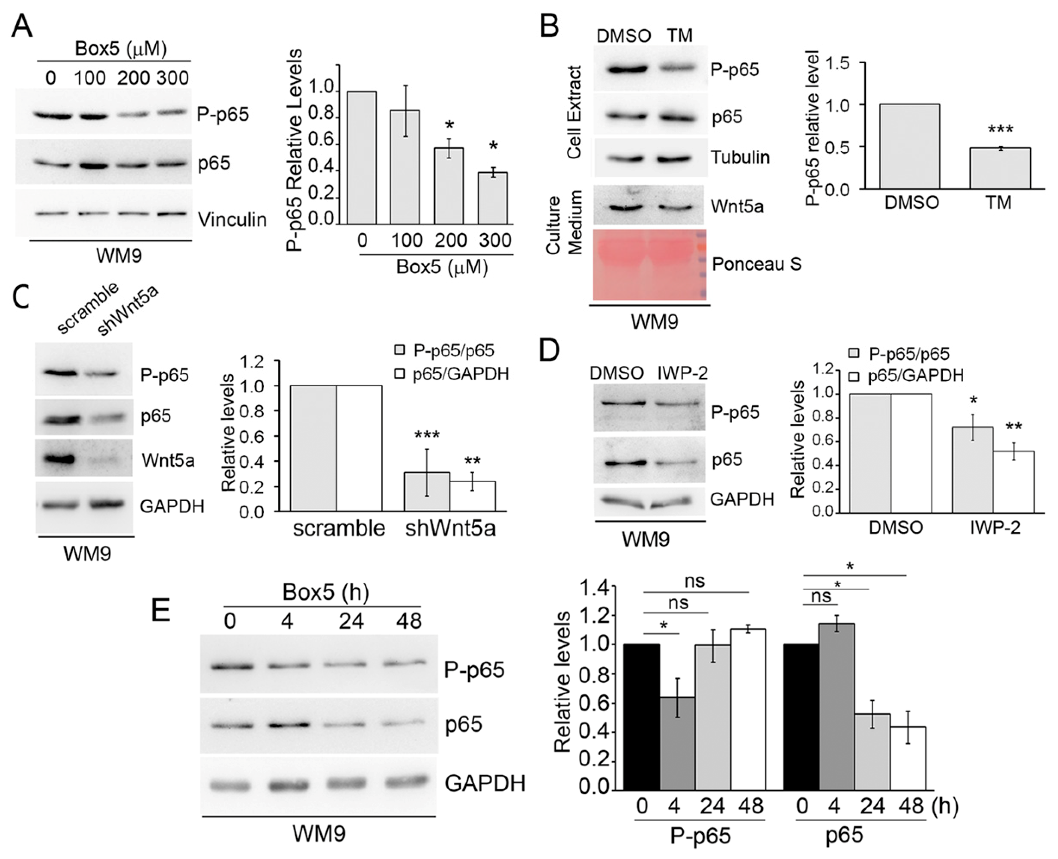 Cells 08 01060 g007 Cells 08 01060 g007