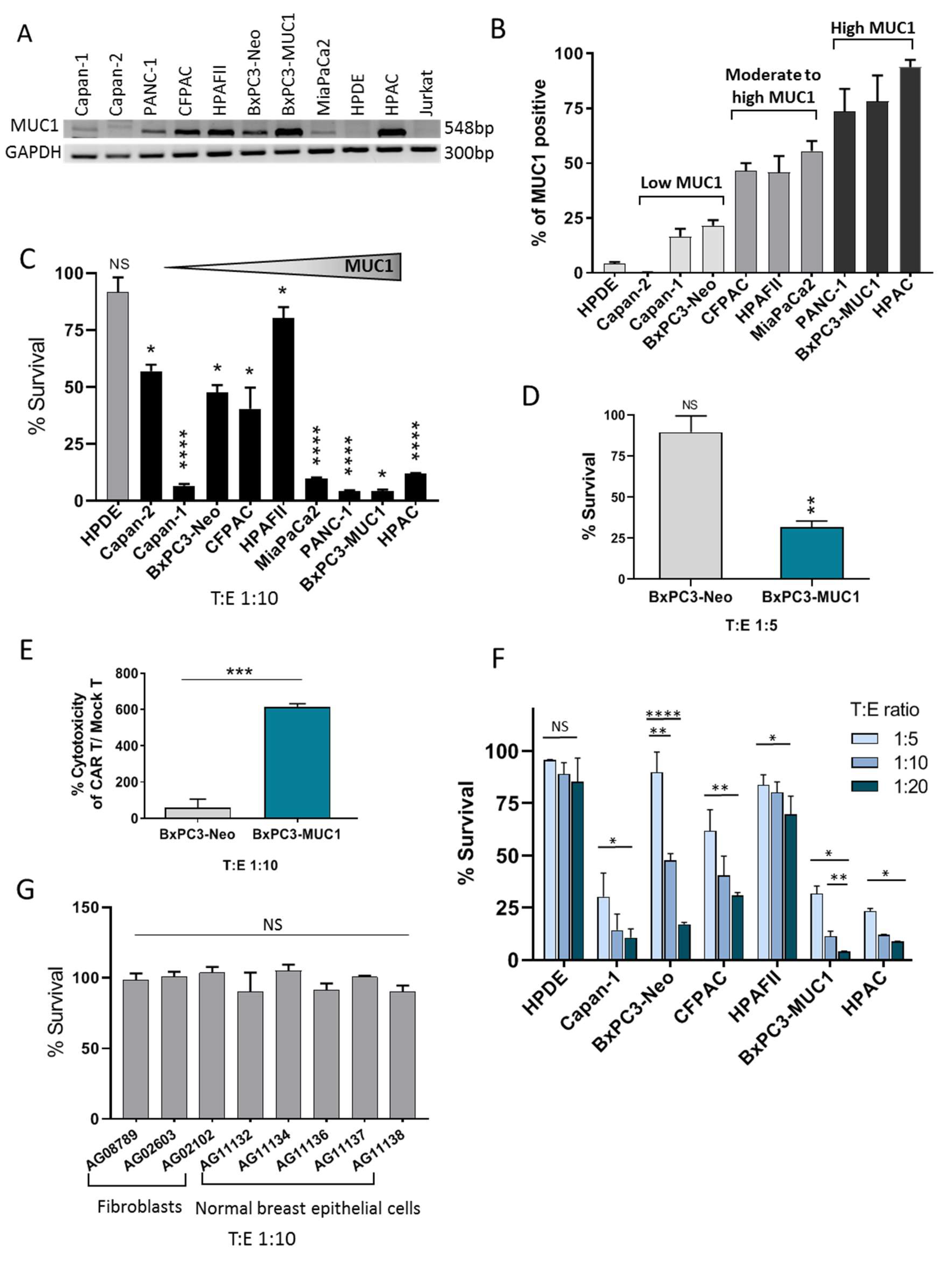 Cells 08 01070 g002 Cells 08 01070 g002