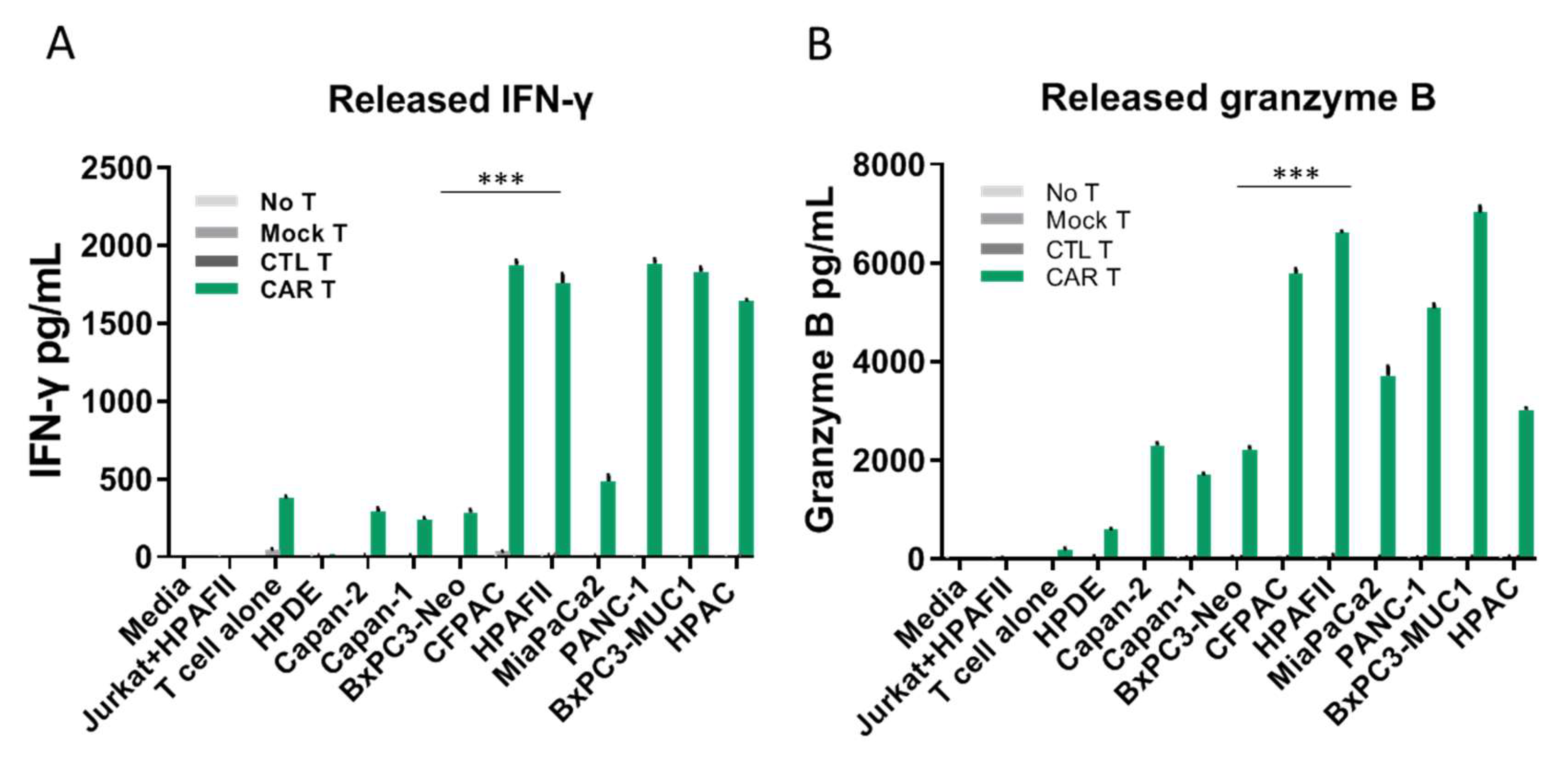 Cells 08 01070 g003 Cells 08 01070 g003