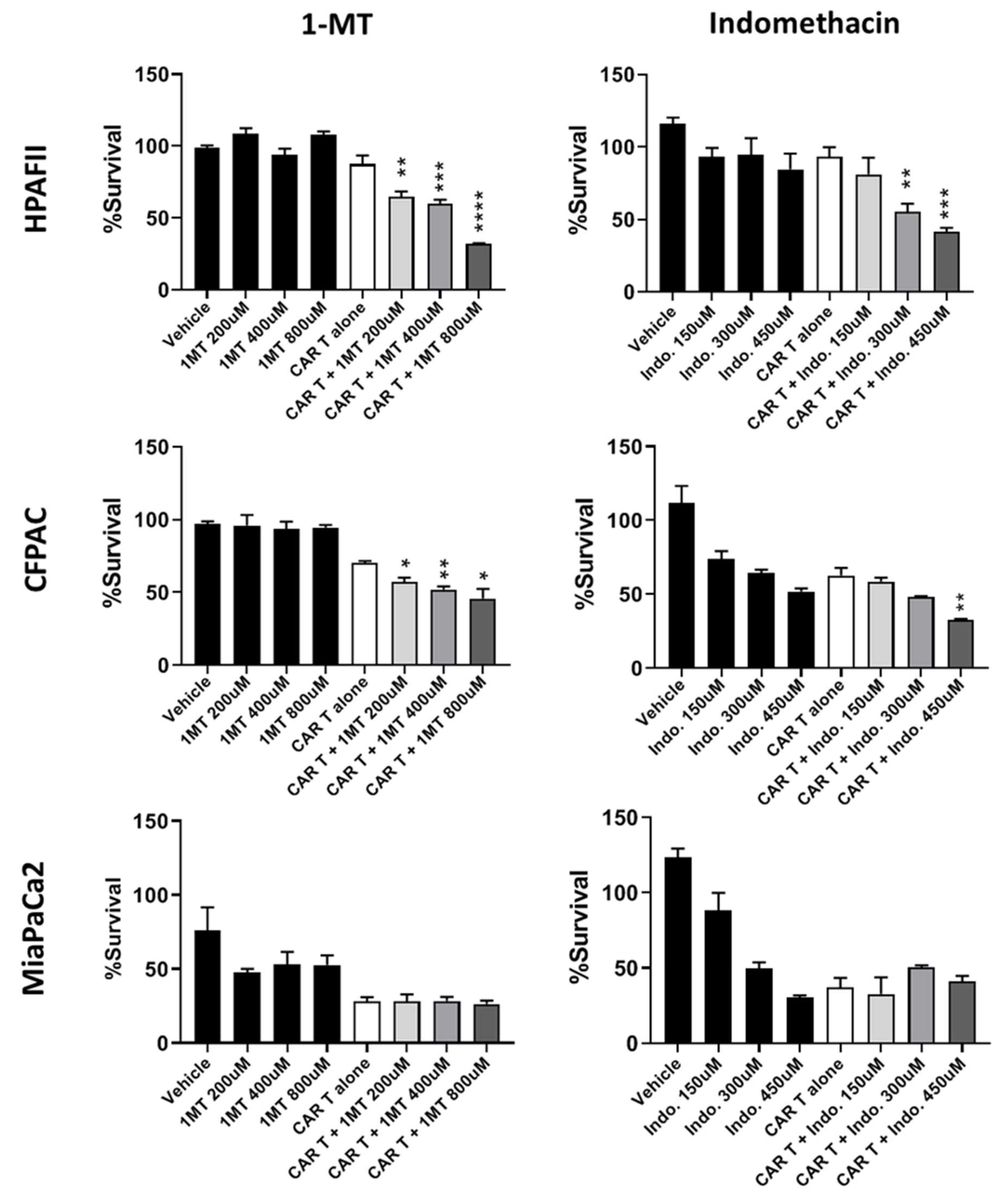Cells 08 01070 g006 Cells 08 01070 g006