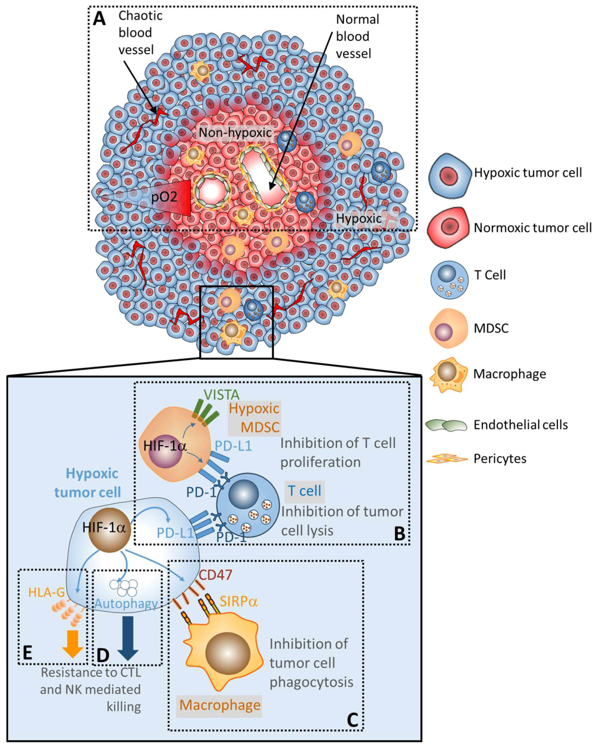 Cells 08 01083 g001 Cells 08 01083 g001
