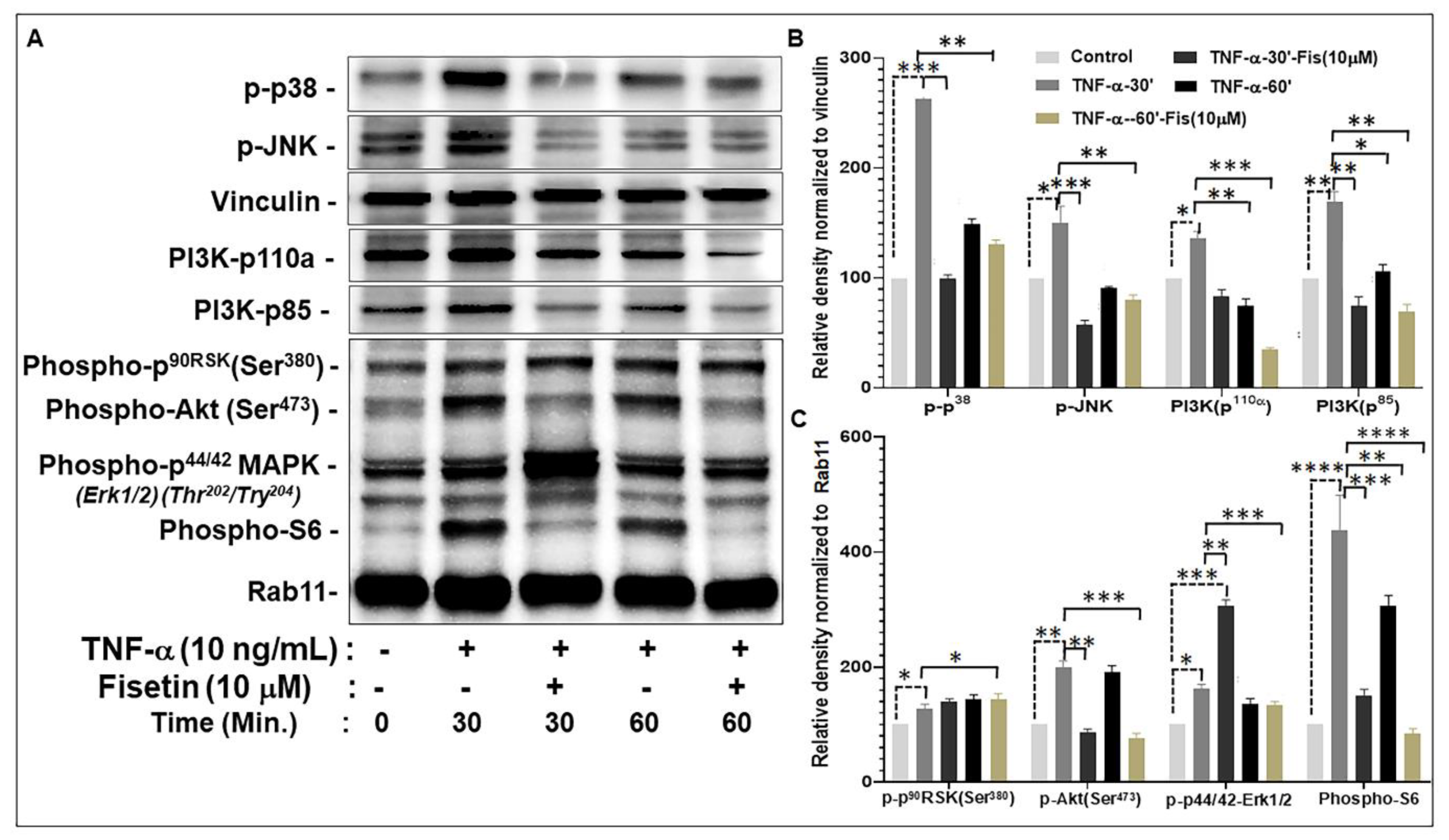 Cells 08 01089 g004