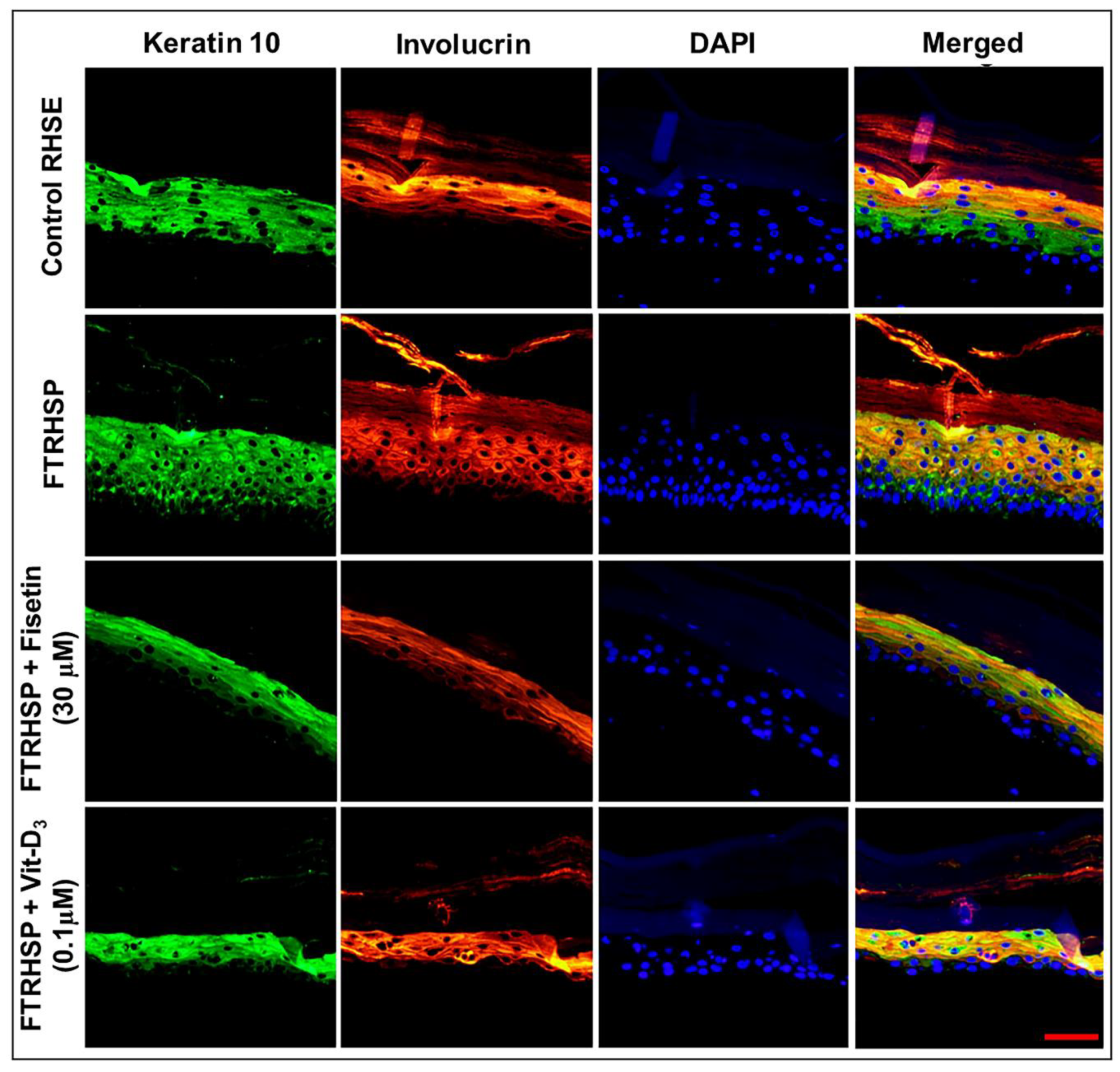 Cells 08 01089 g008