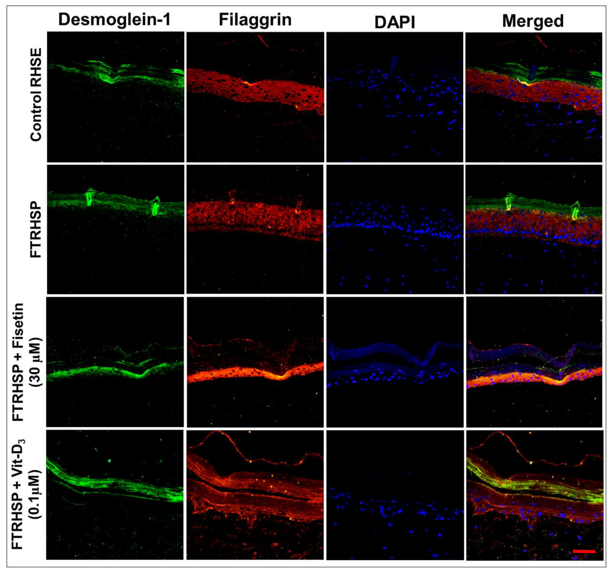 Cells 08 01089 g009