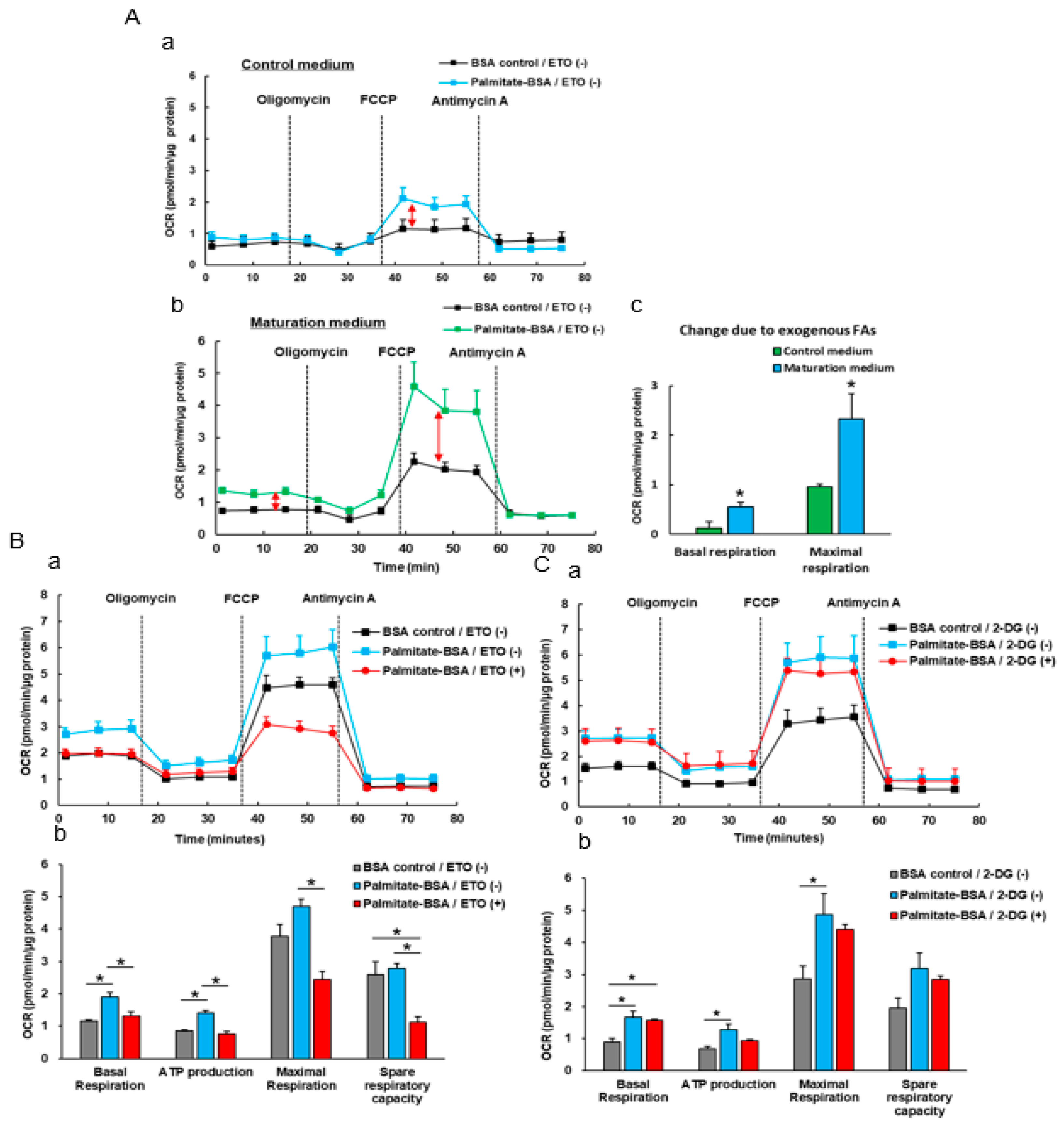 Cells 08 01095 g005 Cells 08 01095 g005