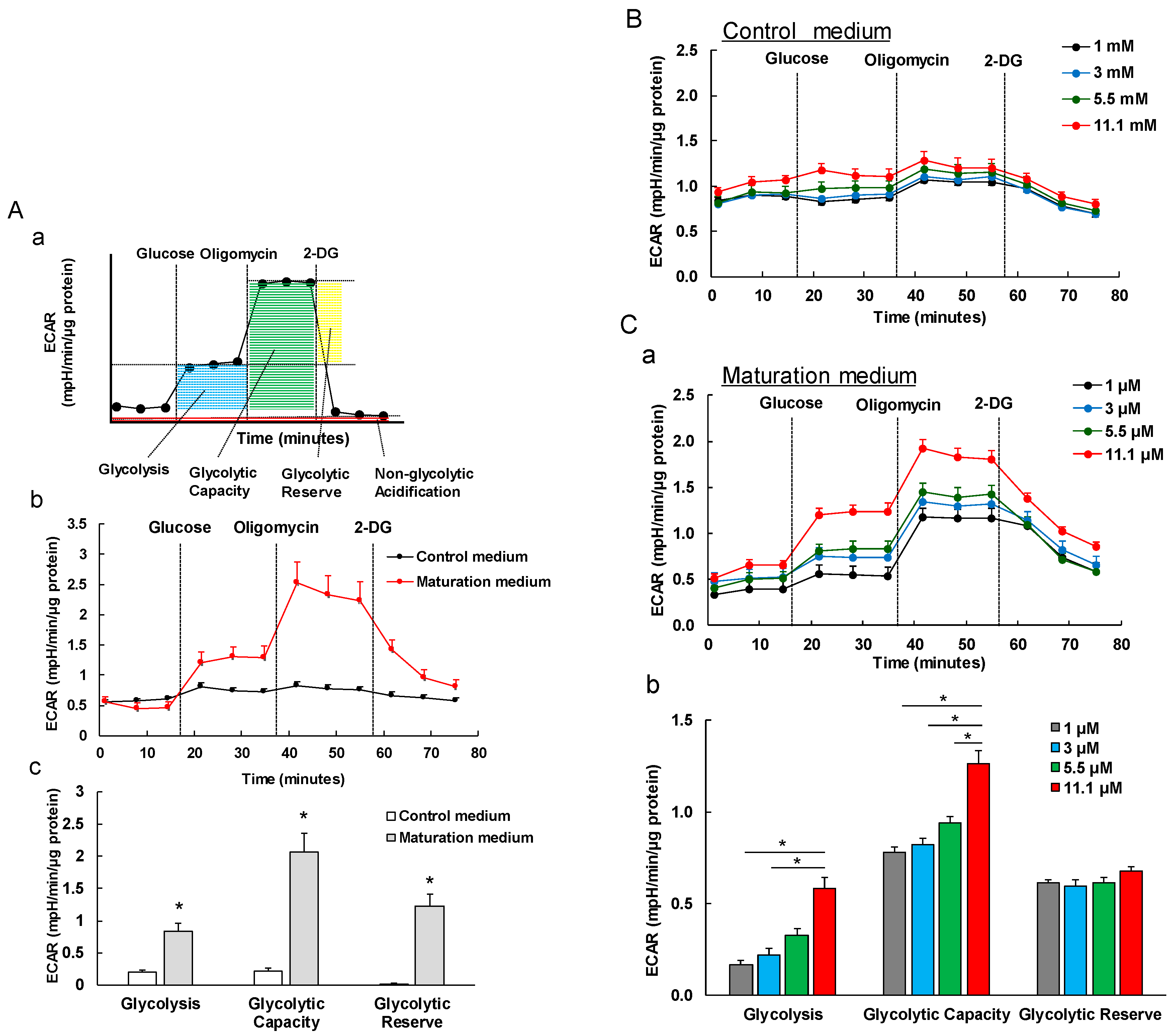 Cells 08 01095 g006 Cells 08 01095 g006