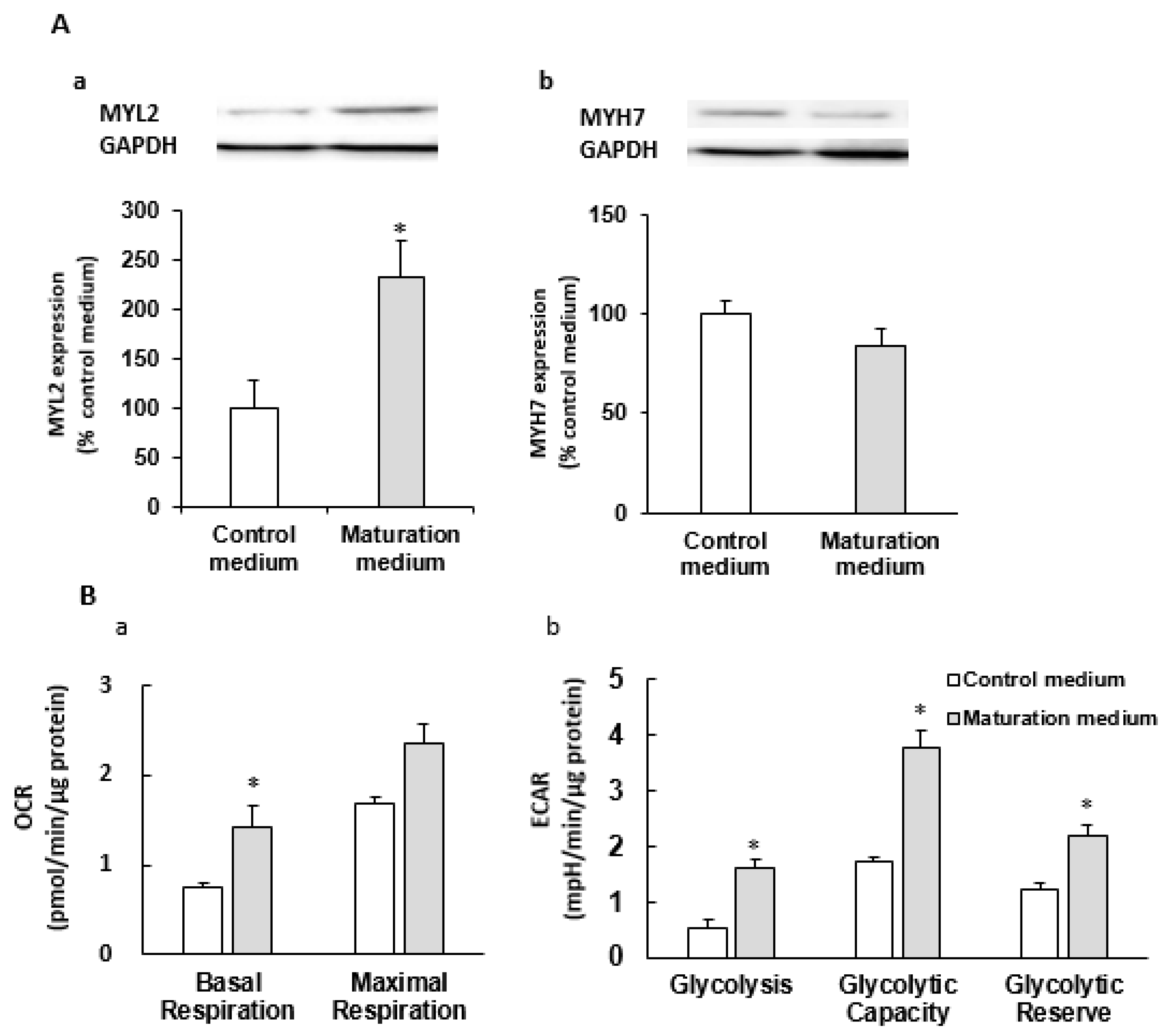 Cells 08 01095 g007 Cells 08 01095 g007