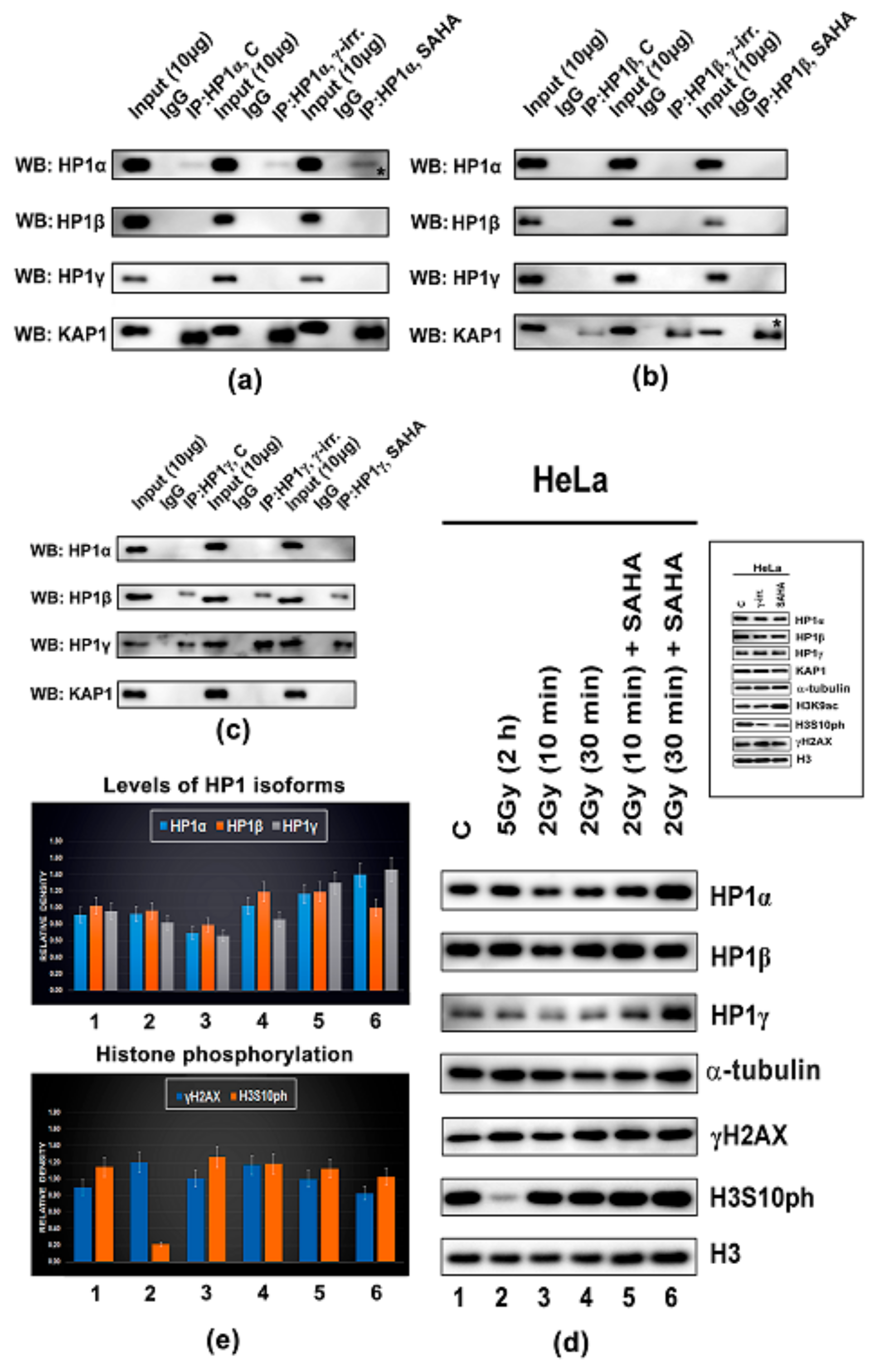 Cells 08 01097 g008 Cells 08 01097 g008