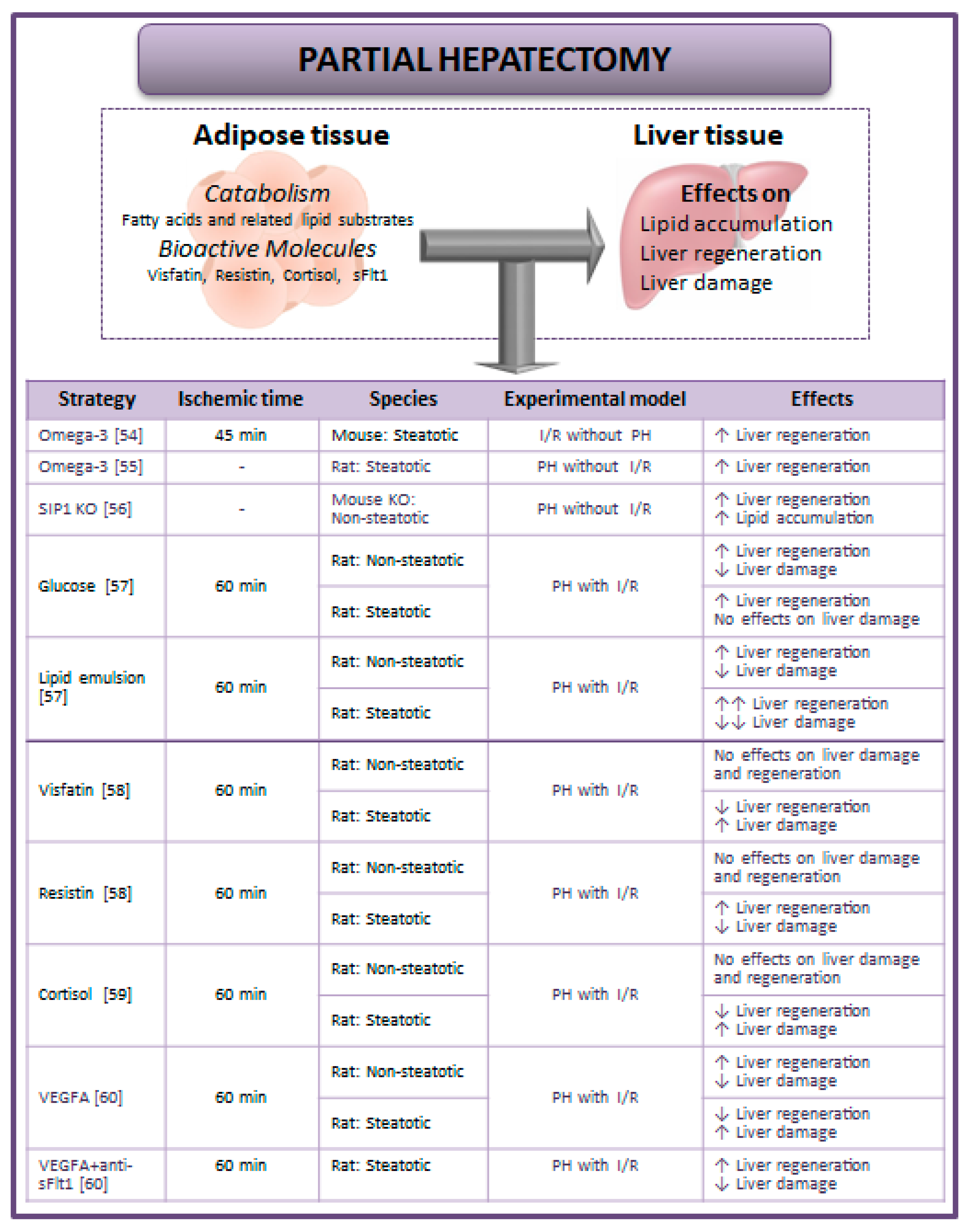 Cells 08 01100 g002 Cells 08 01100 g002