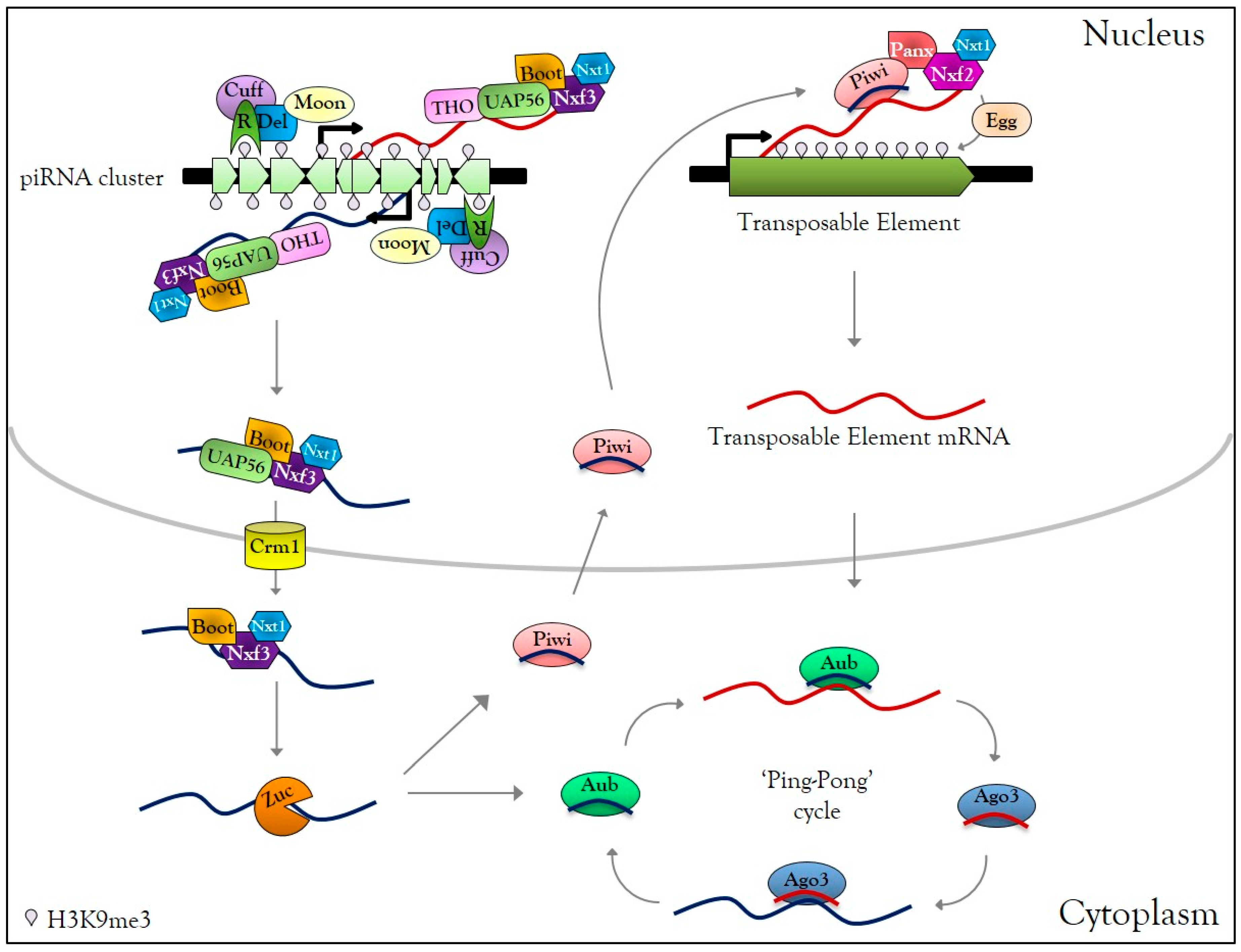 Cells 08 01108 g001 Cells 08 01108 g001