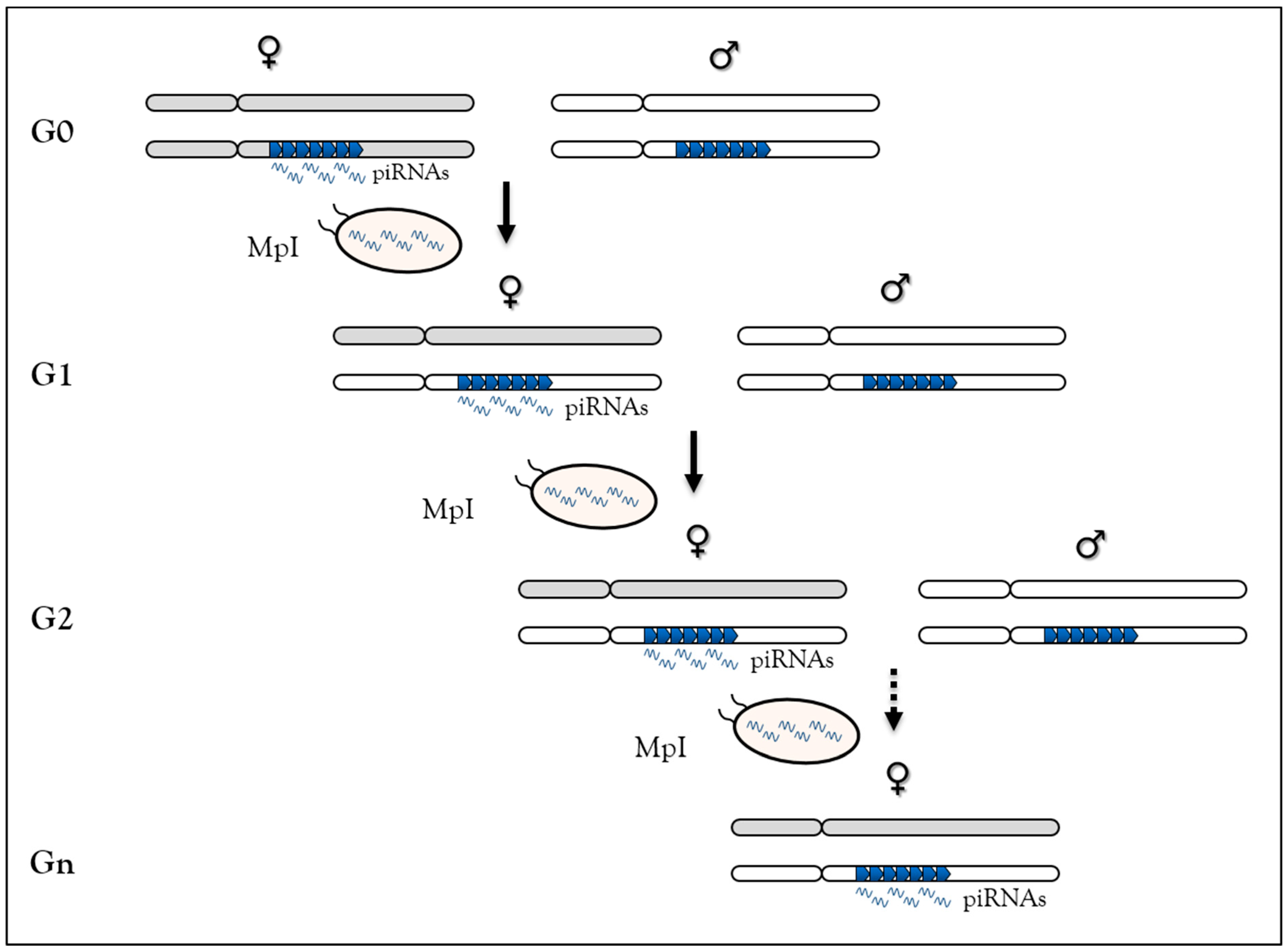 Cells 08 01108 g002 Cells 08 01108 g002