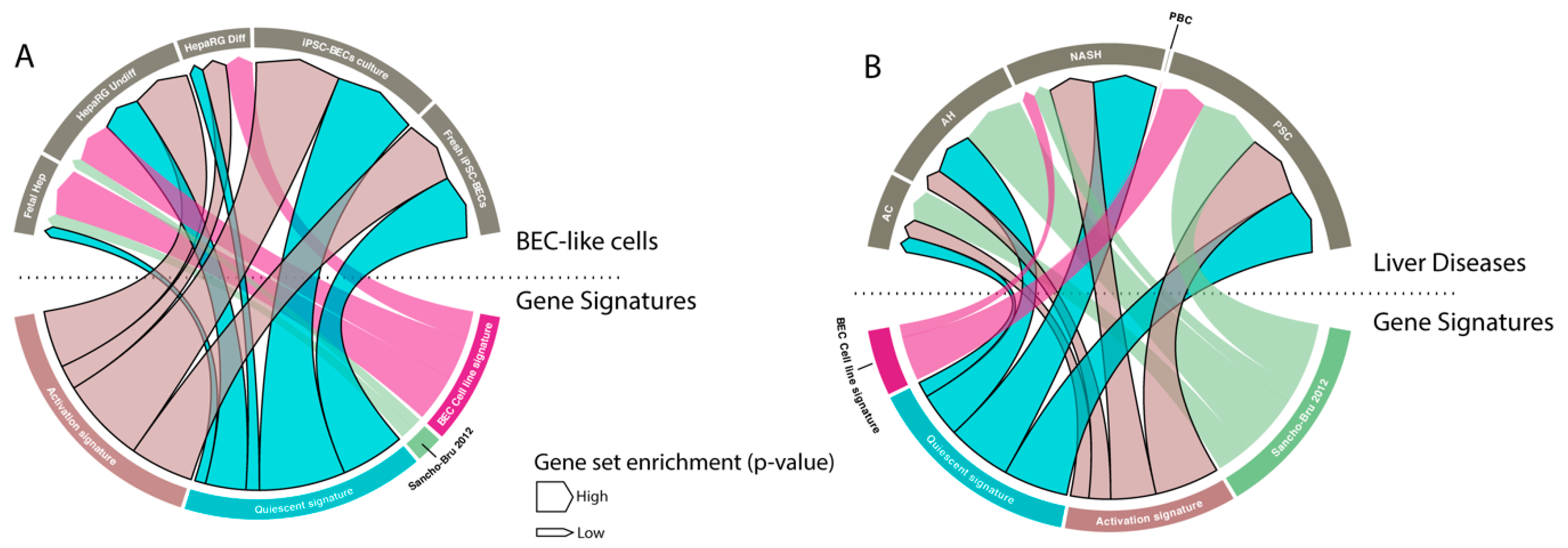 Cells 08 01117 g006
