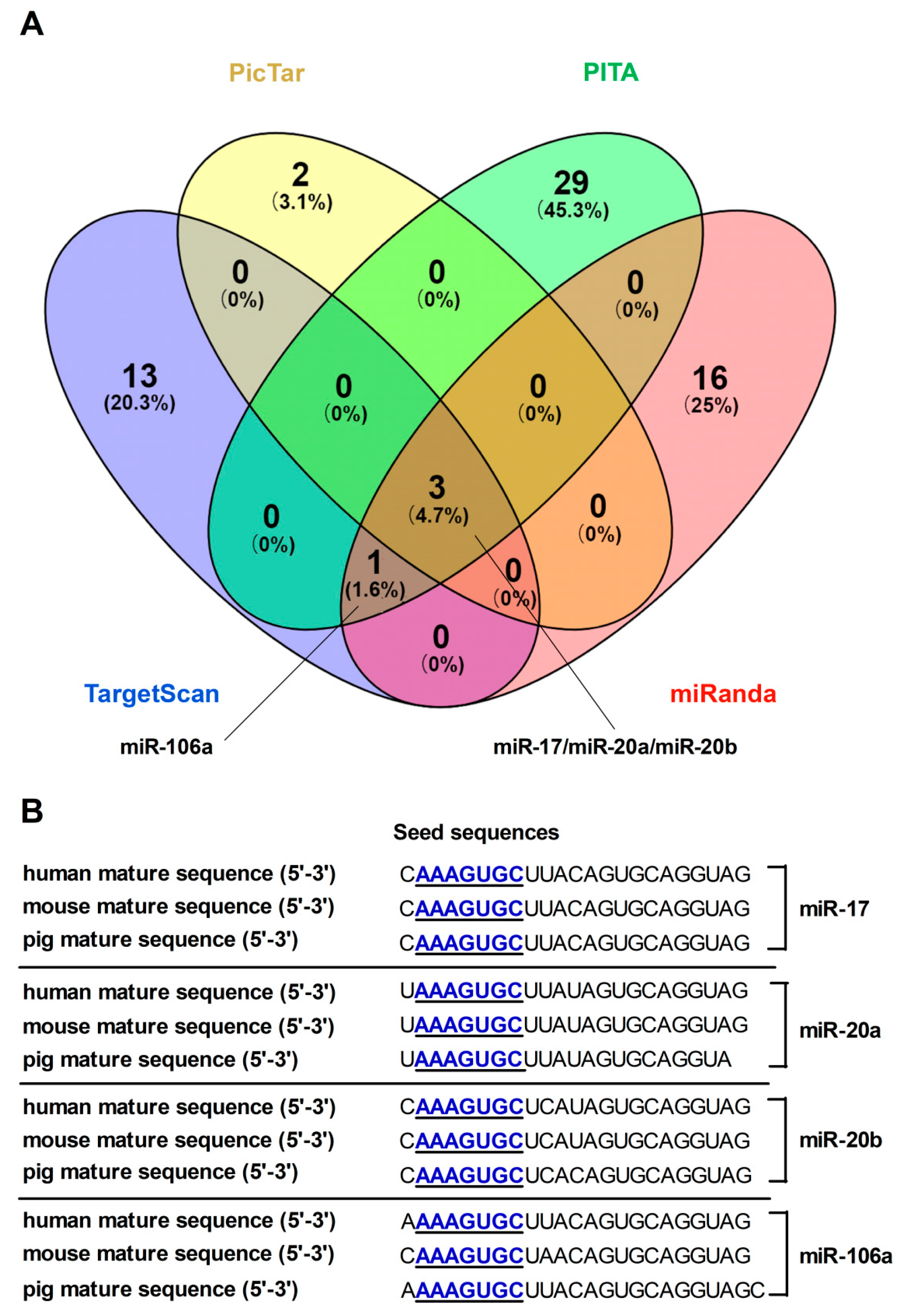Cells 08 01135 g001 Cells 08 01135 g001