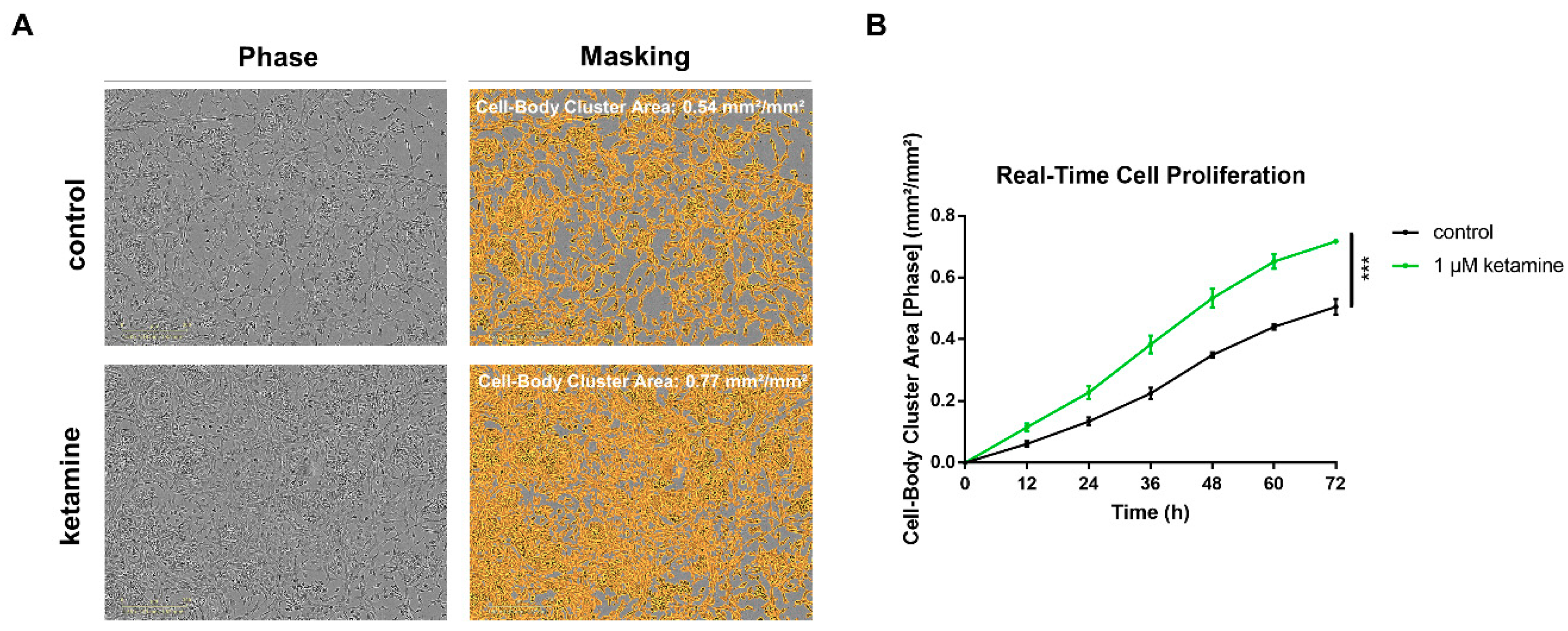 Cells 08 01139 g002 Cells 08 01139 g002
