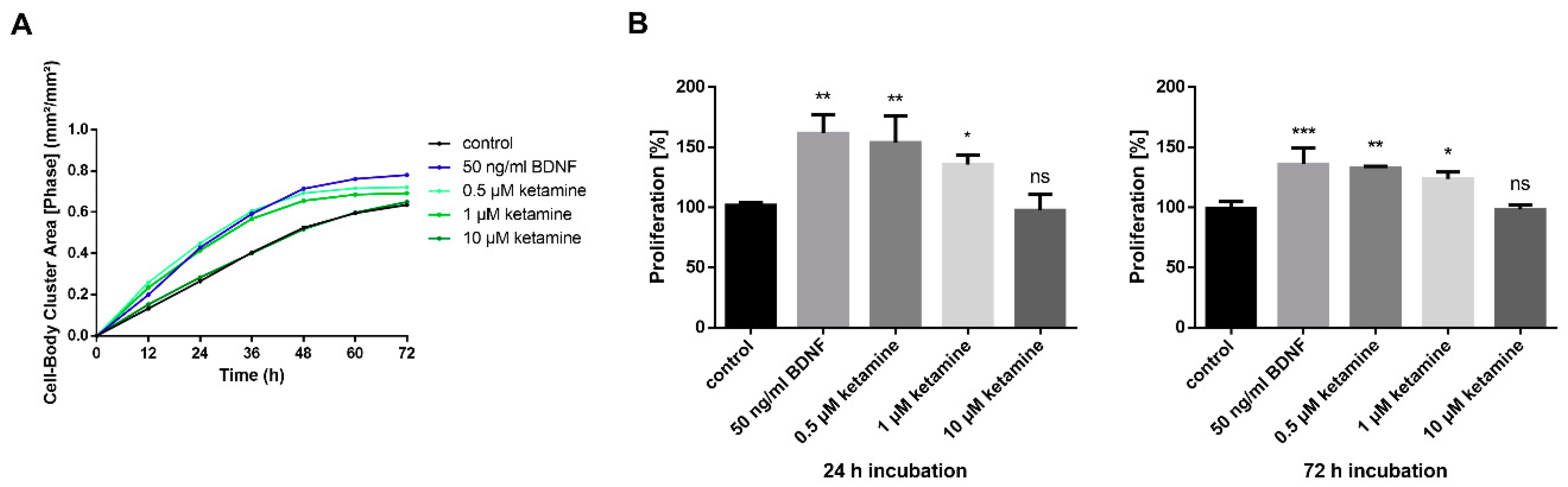 Cells 08 01139 g003 Cells 08 01139 g003