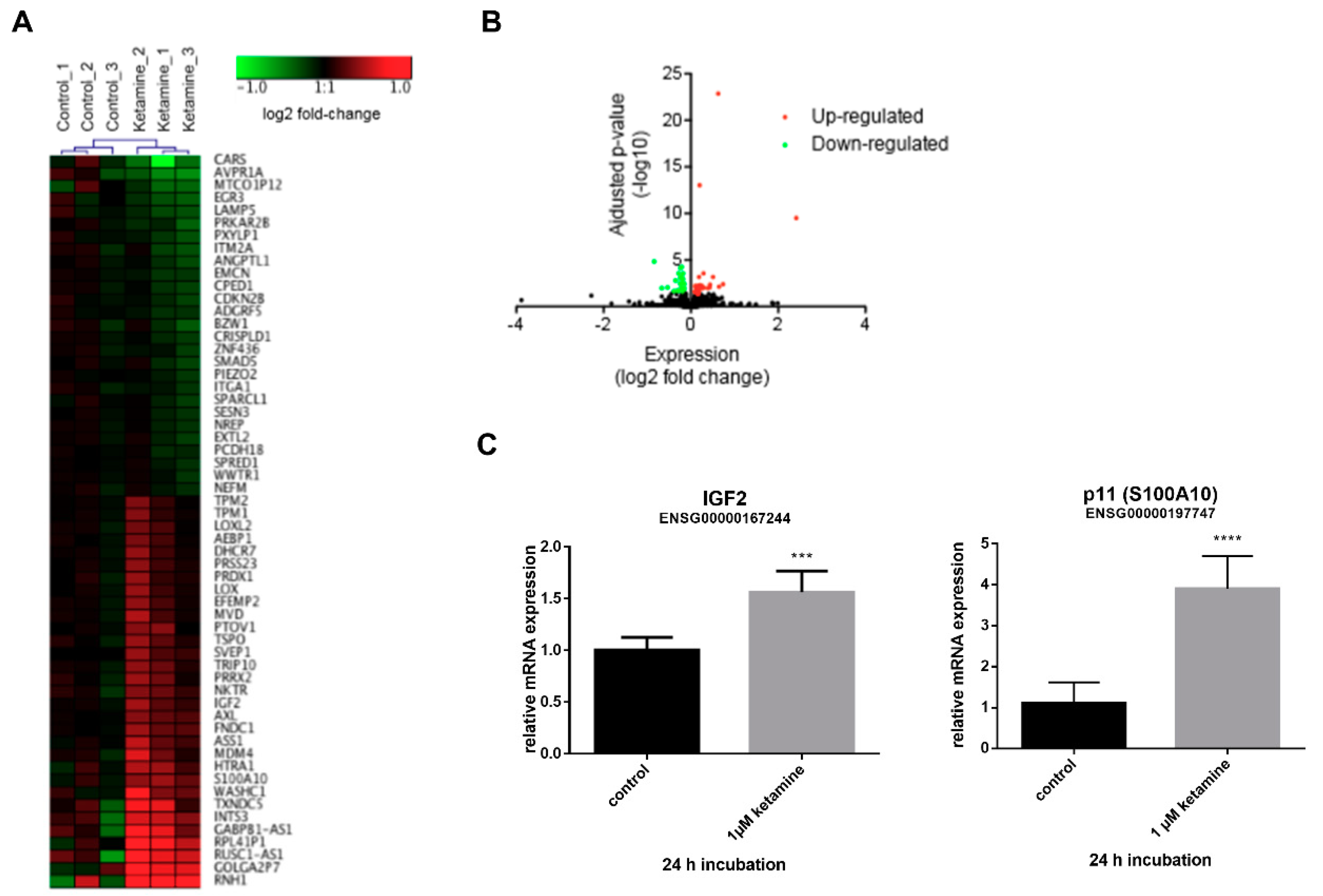 Cells 08 01139 g005 Cells 08 01139 g005