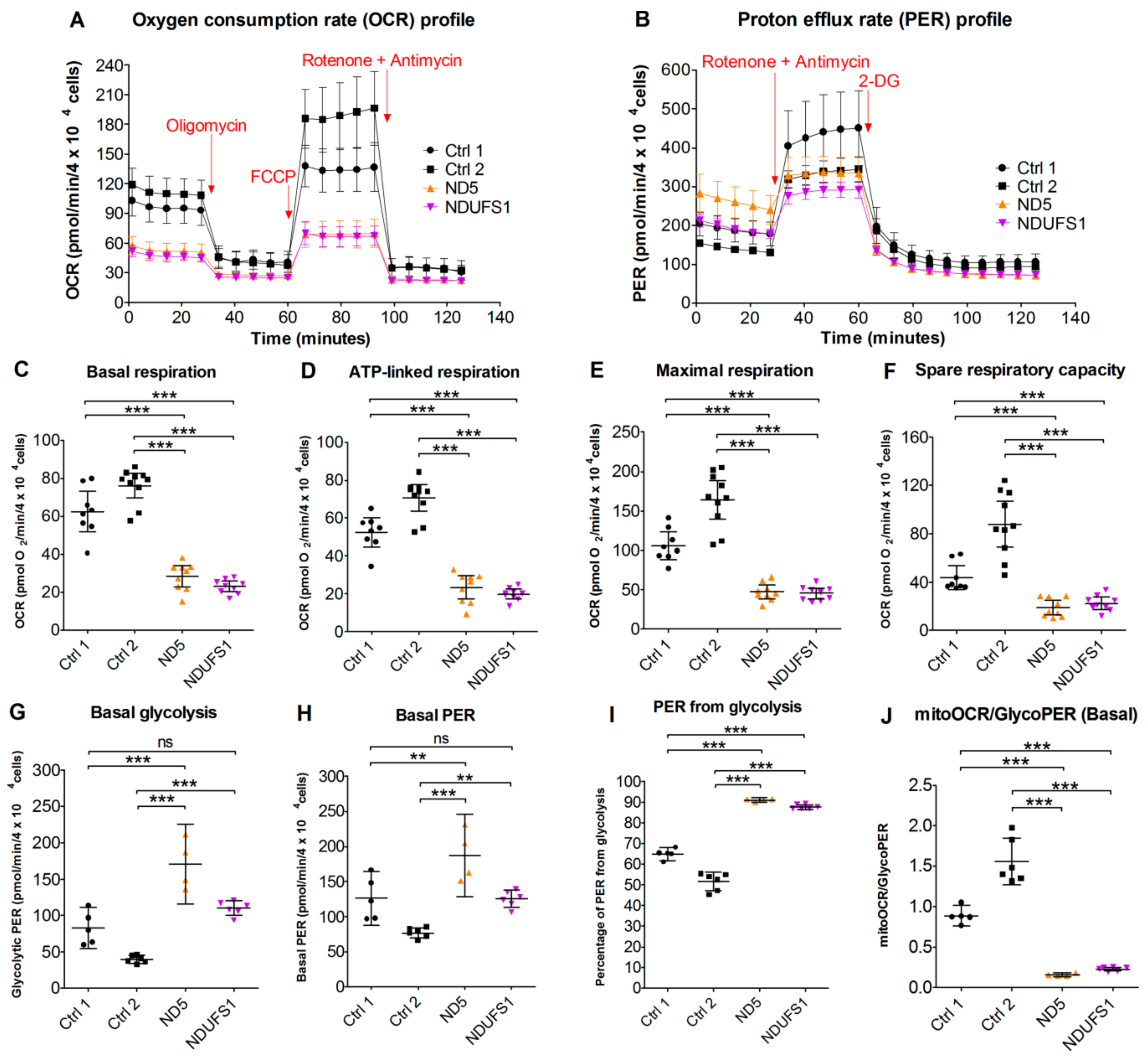 Cells 08 01149 g006 Cells 08 01149 g006