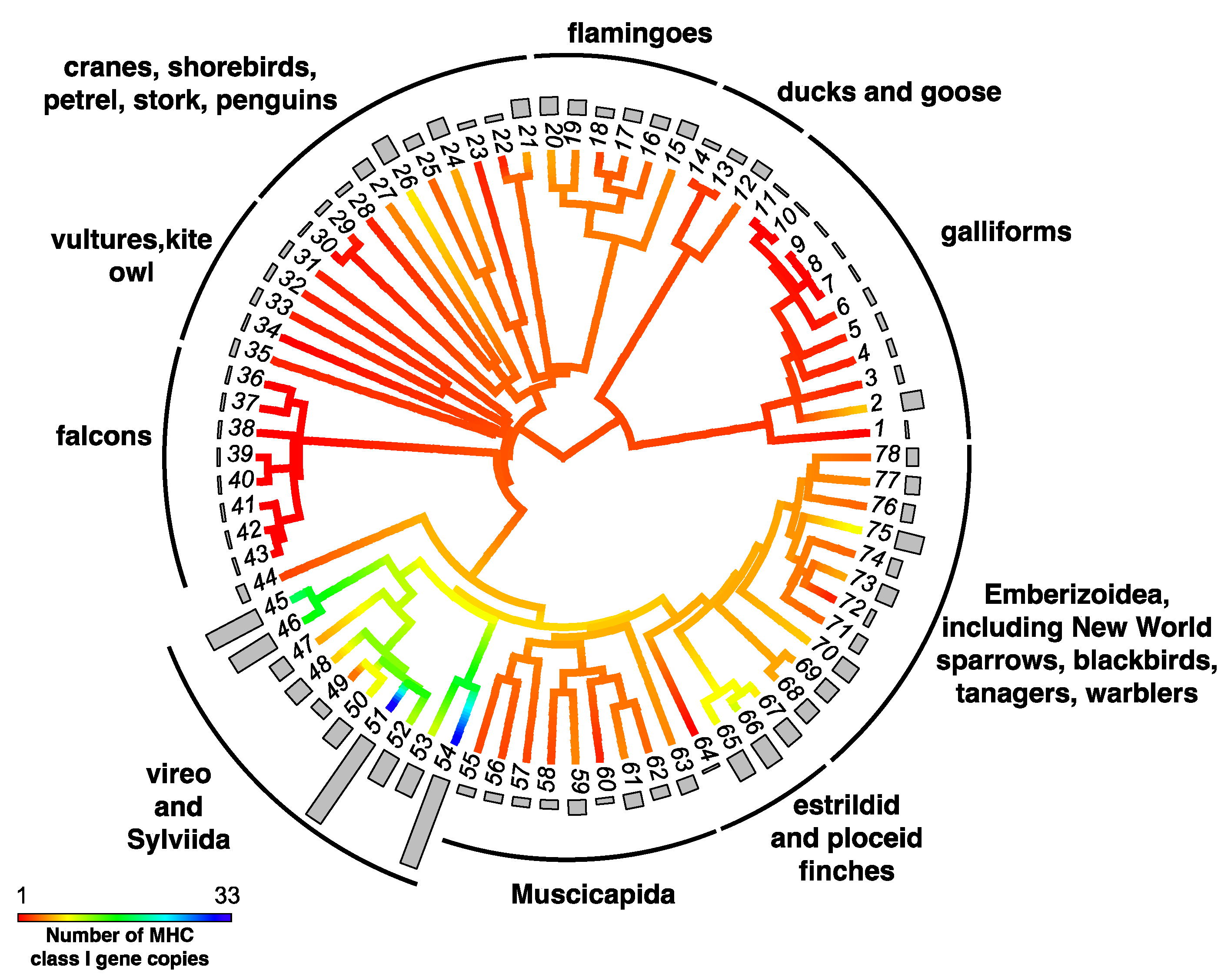 Cells 08 01152 g002 Cells 08 01152 g002