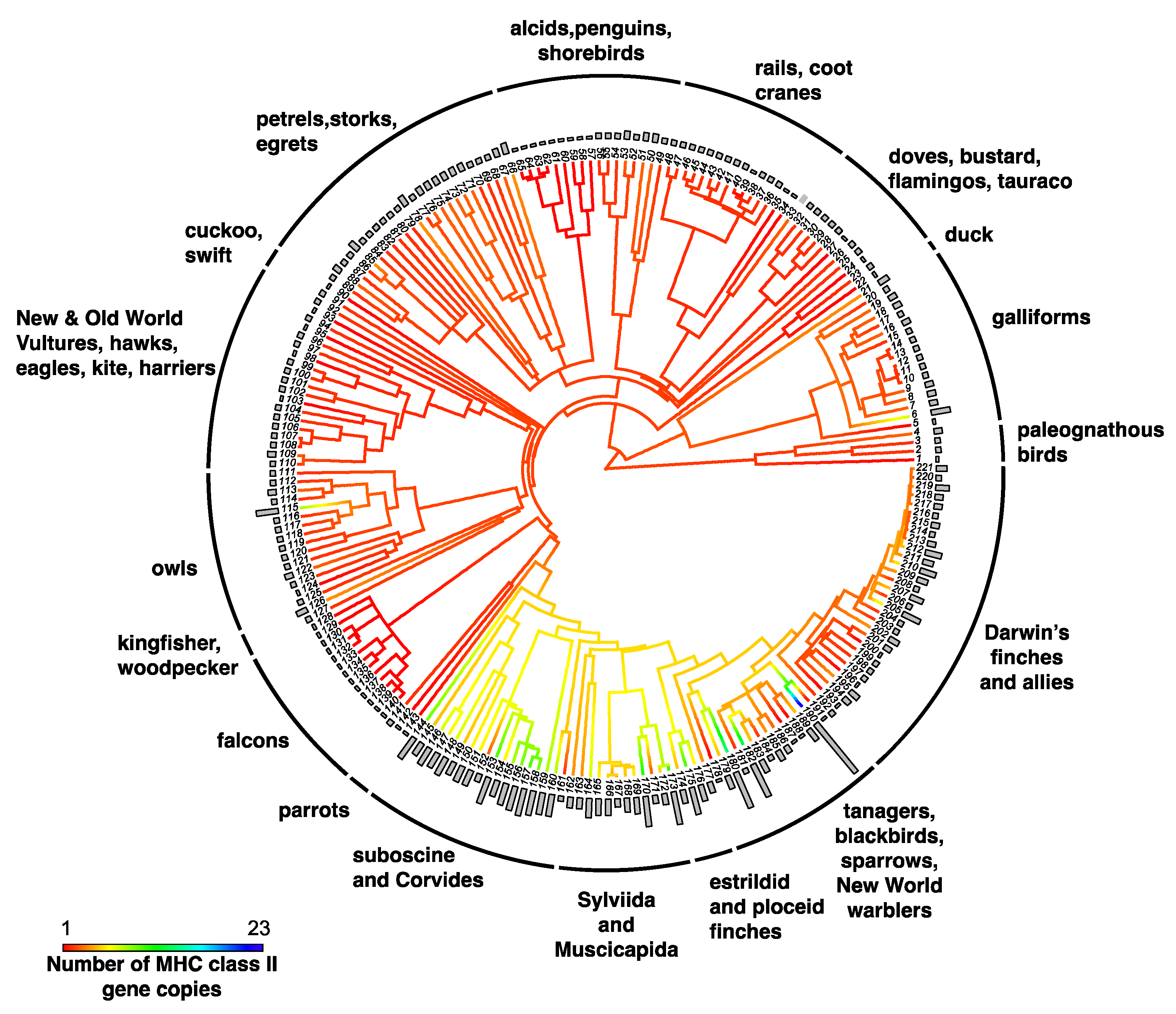 Cells 08 01152 g003 Cells 08 01152 g003