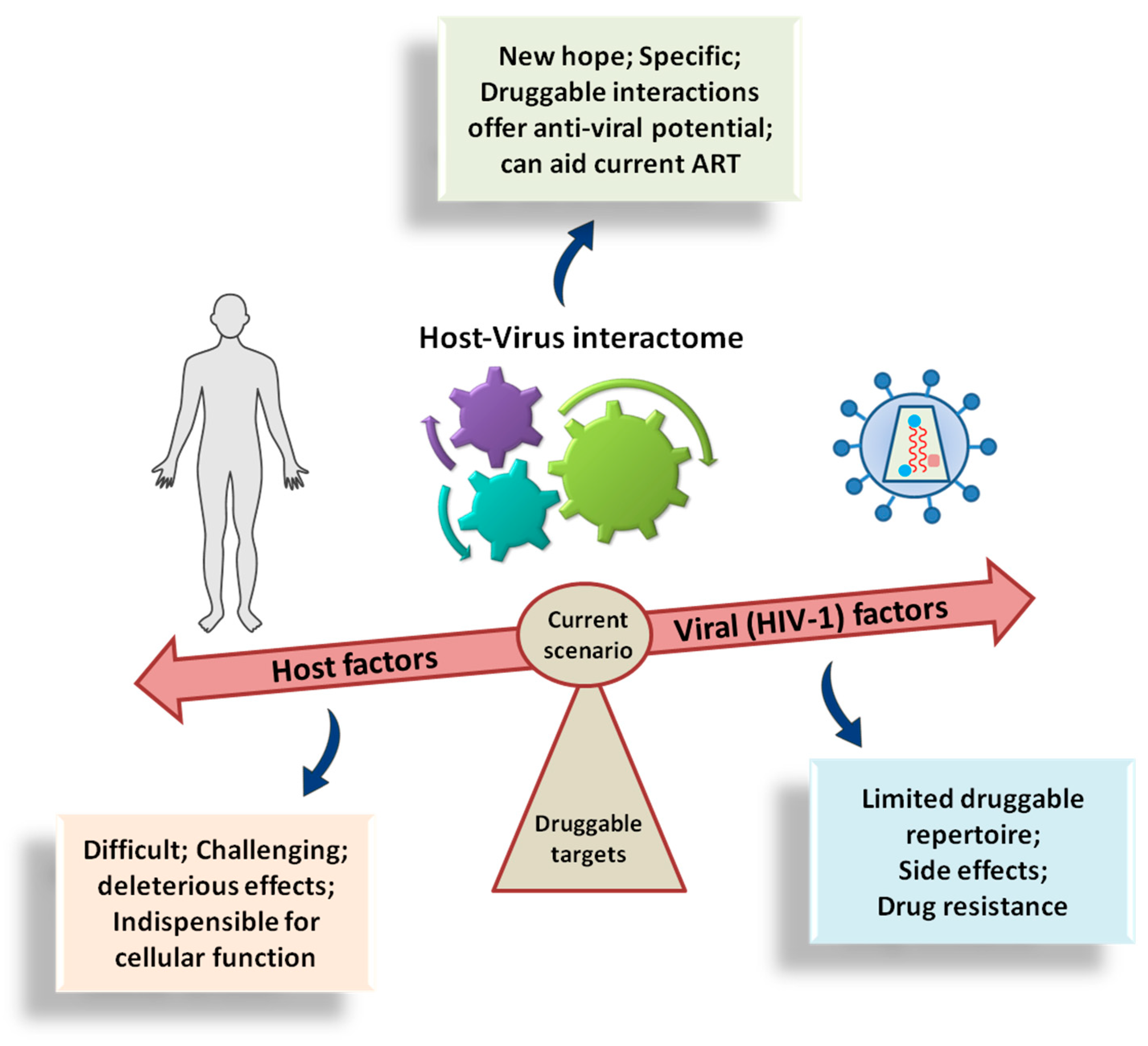Cells 08 01155 g008 Cells 08 01155 g008