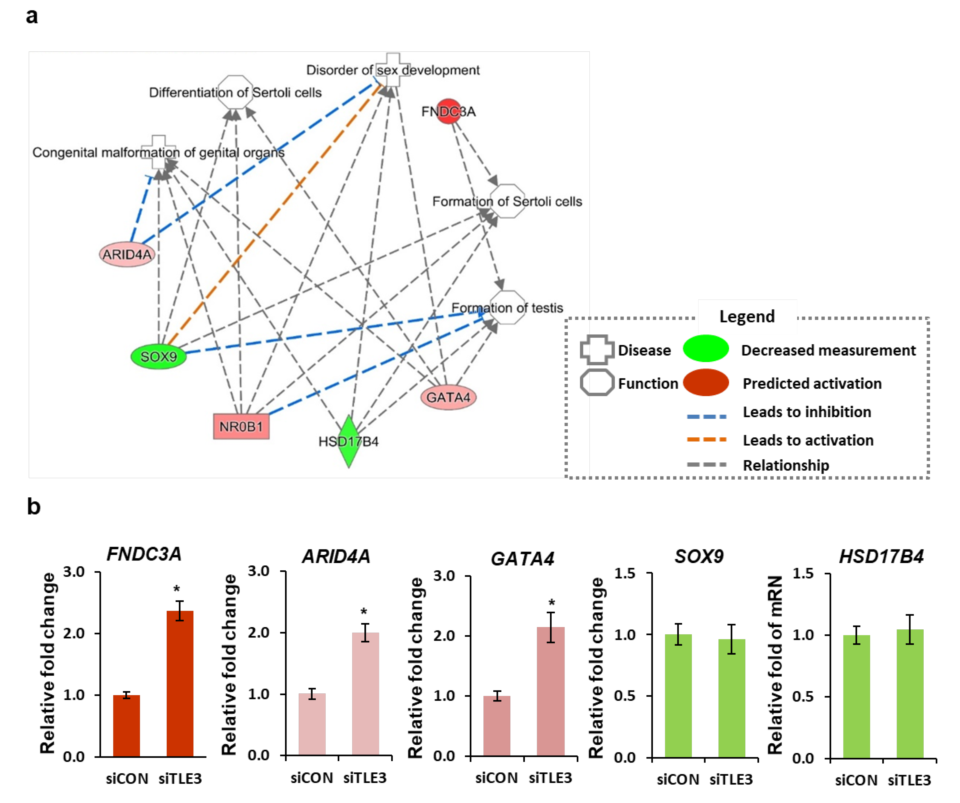 Cells 08 01156 g005 Cells 08 01156 g005