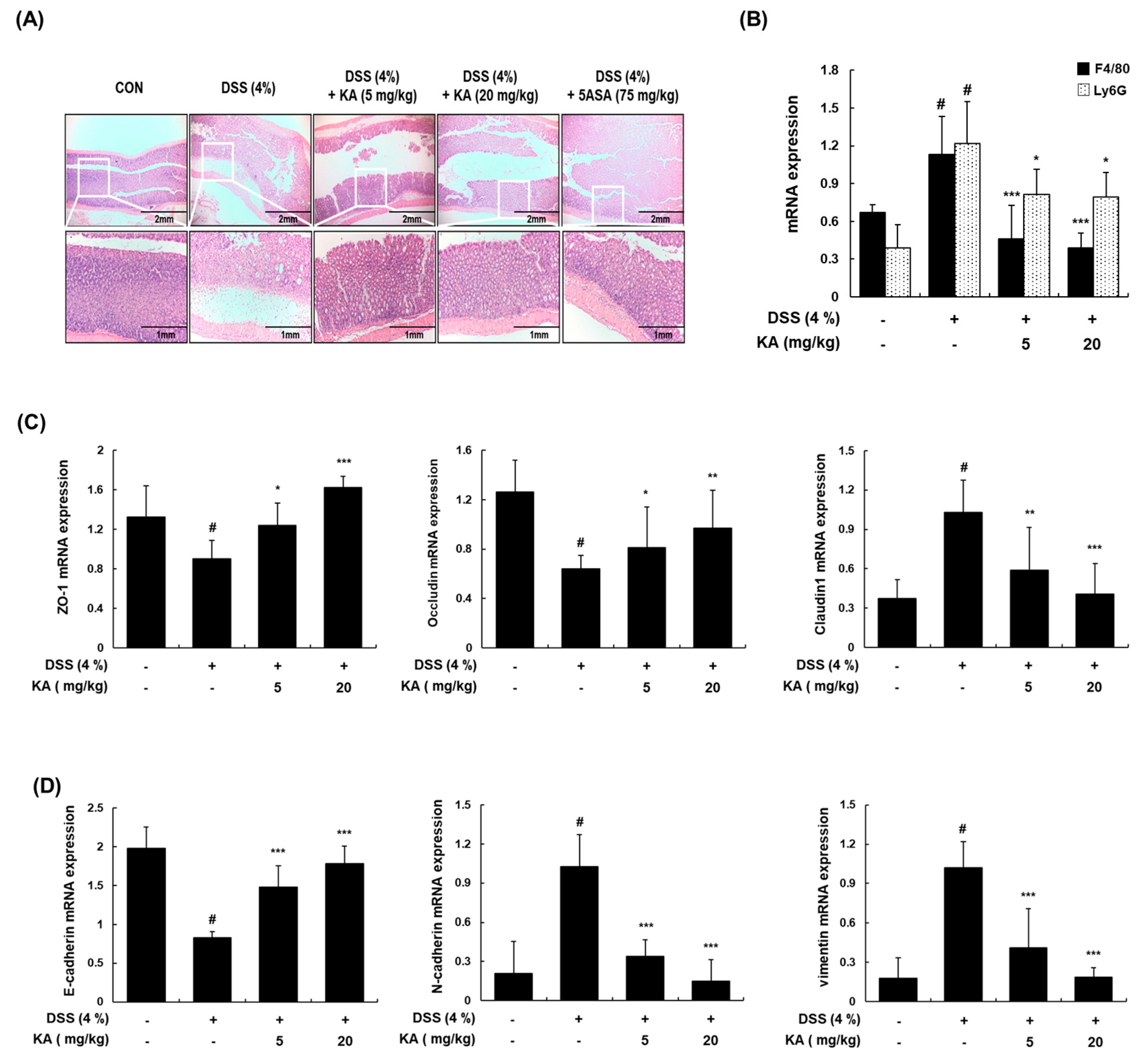 Cells 08 01163 g007 Cells 08 01163 g007