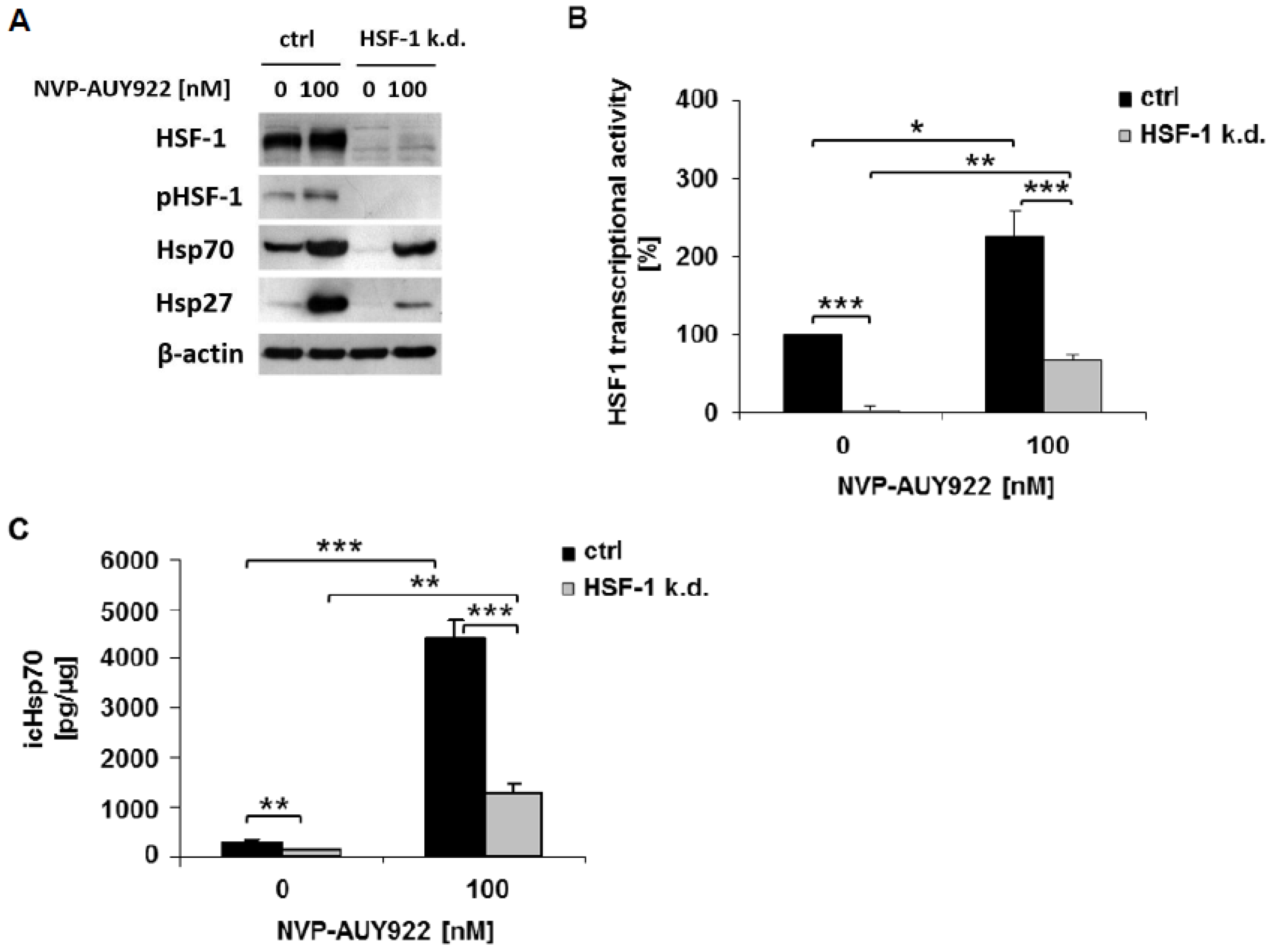 Cells Free Full Text Radiosensitization Of Hsf 1 Knockdown Lung Cancer Cells By Low Concentrations Of Hsp90 Inhibitor Nvp Auy922