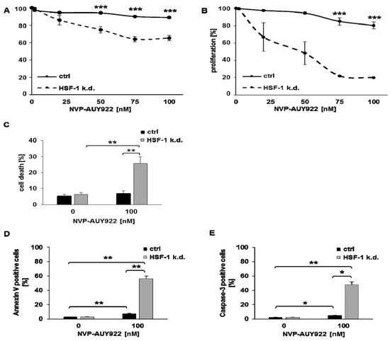 Cells Free Full Text Radiosensitization Of Hsf 1 Knockdown Lung Cancer Cells By Low Concentrations Of Hsp90 Inhibitor Nvp Auy922