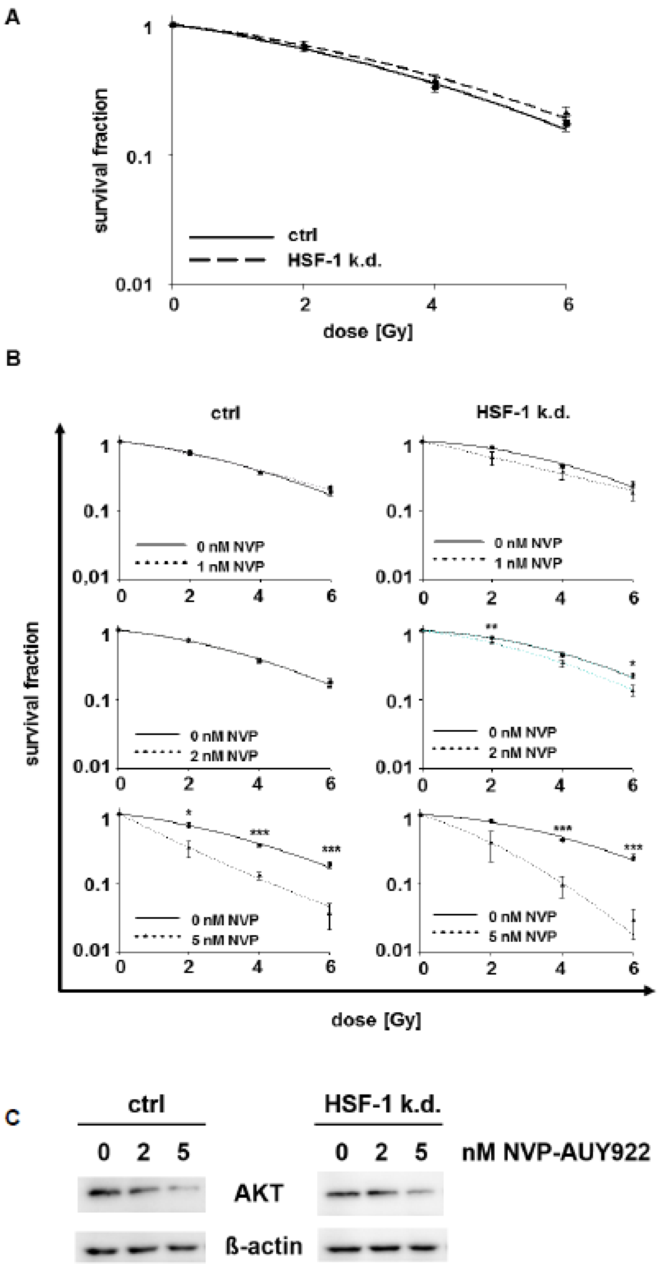 Cells Free Full Text Radiosensitization Of Hsf 1 Knockdown Lung Cancer Cells By Low Concentrations Of Hsp90 Inhibitor Nvp Auy922