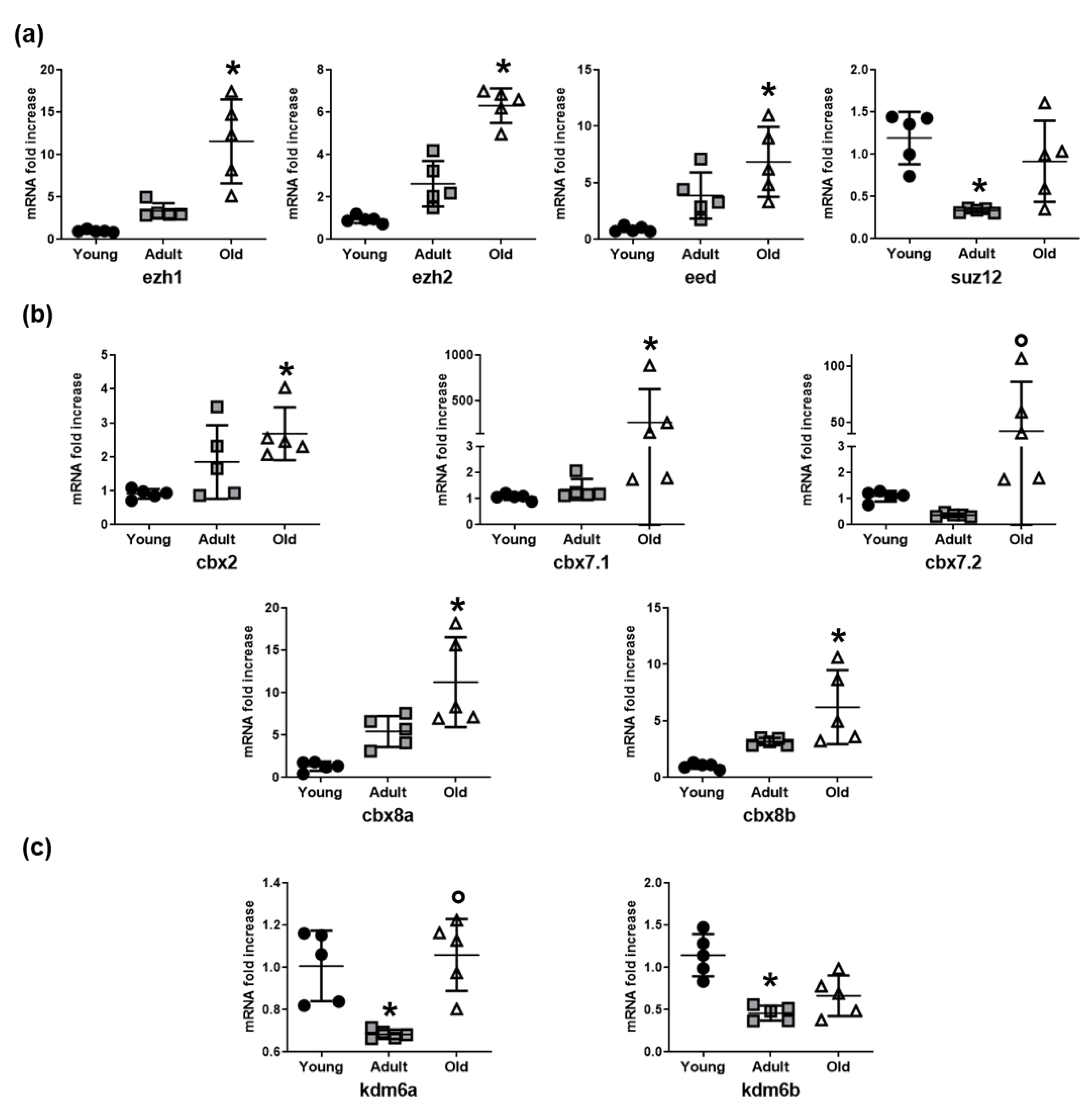 Cells 08 01169 g002 Cells 08 01169 g002