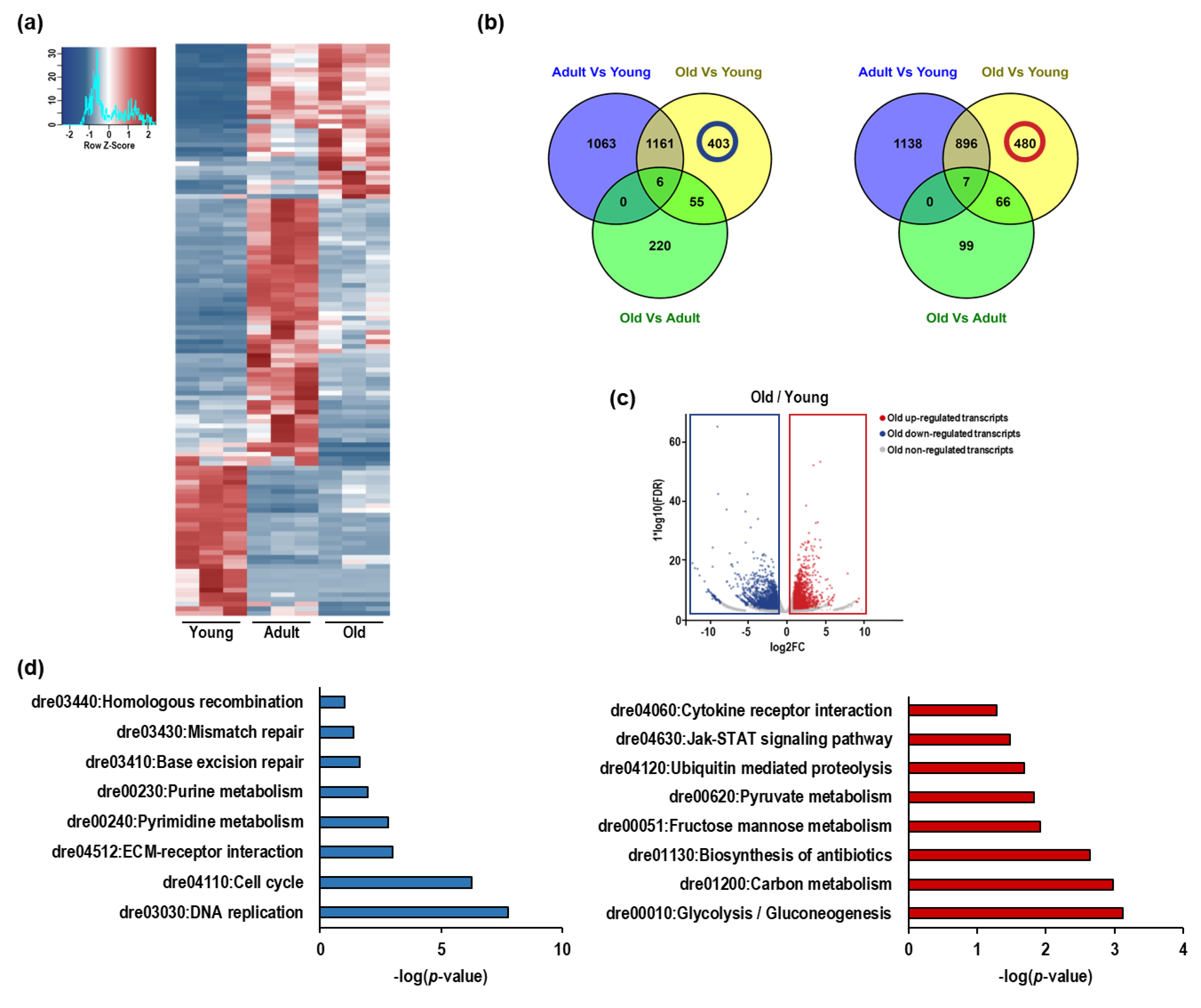 Cells 08 01169 g003 Cells 08 01169 g003
