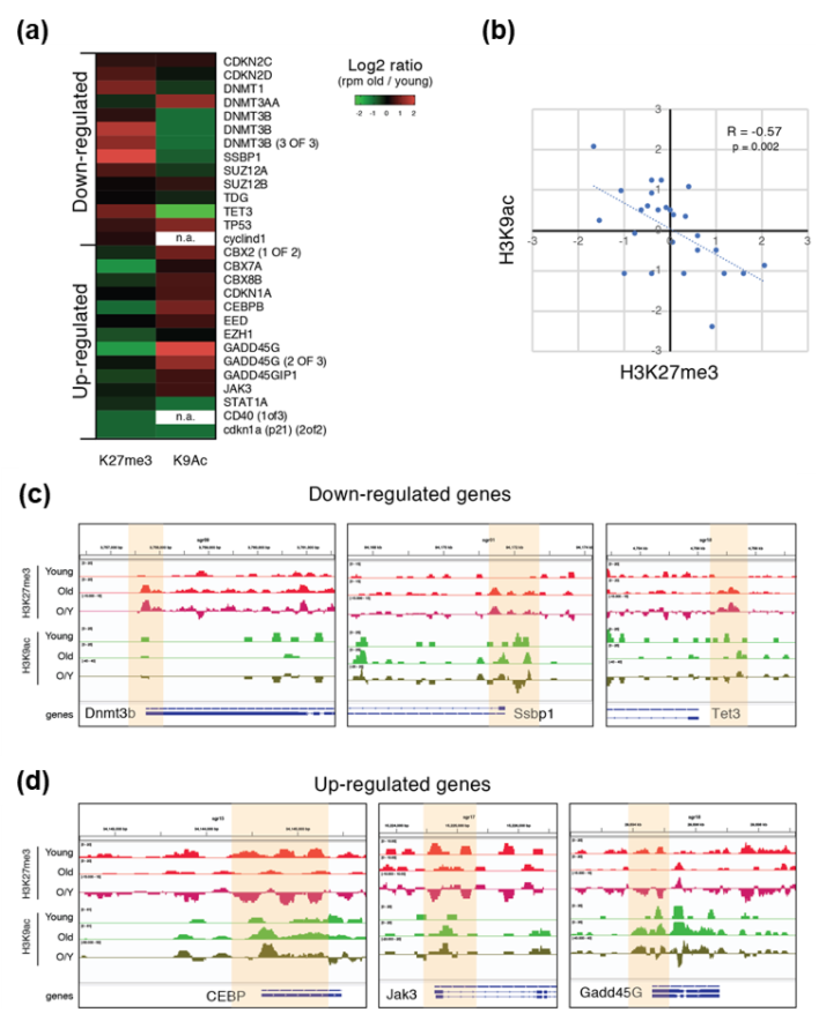 Cells 08 01169 g004 Cells 08 01169 g004