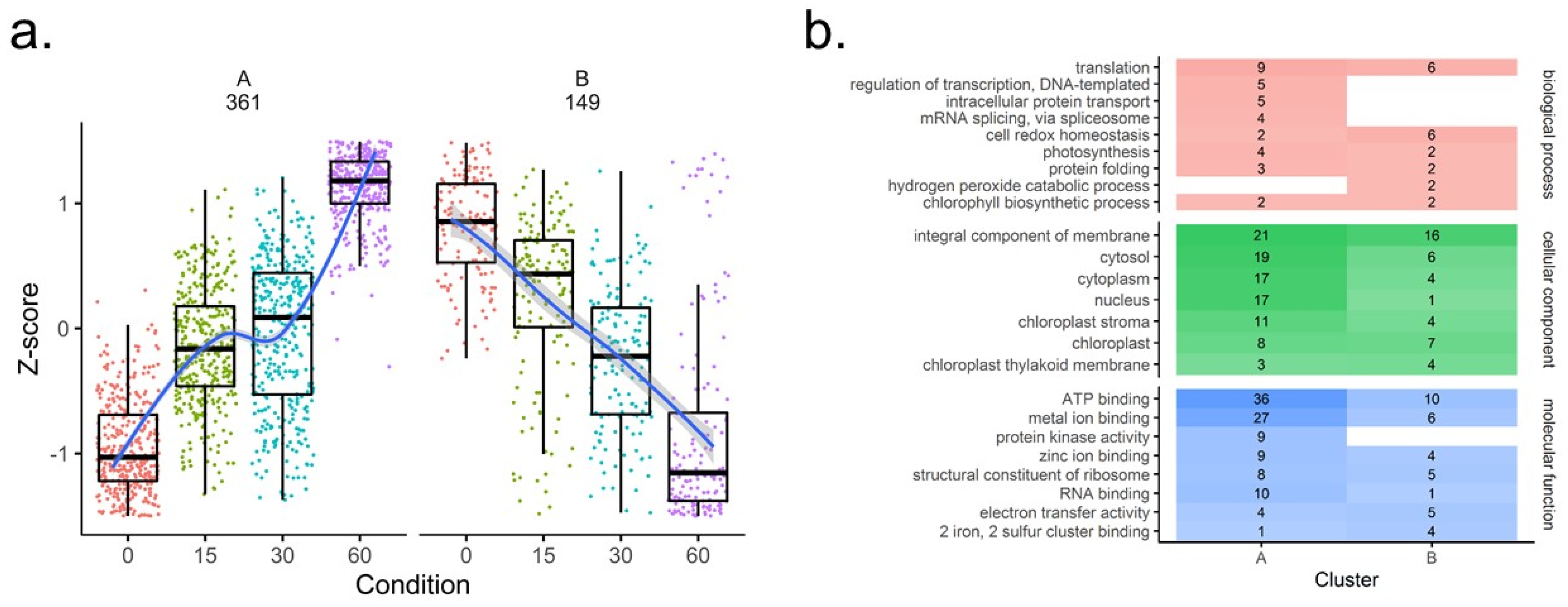 Cells 08 01171 g005 Cells 08 01171 g005
