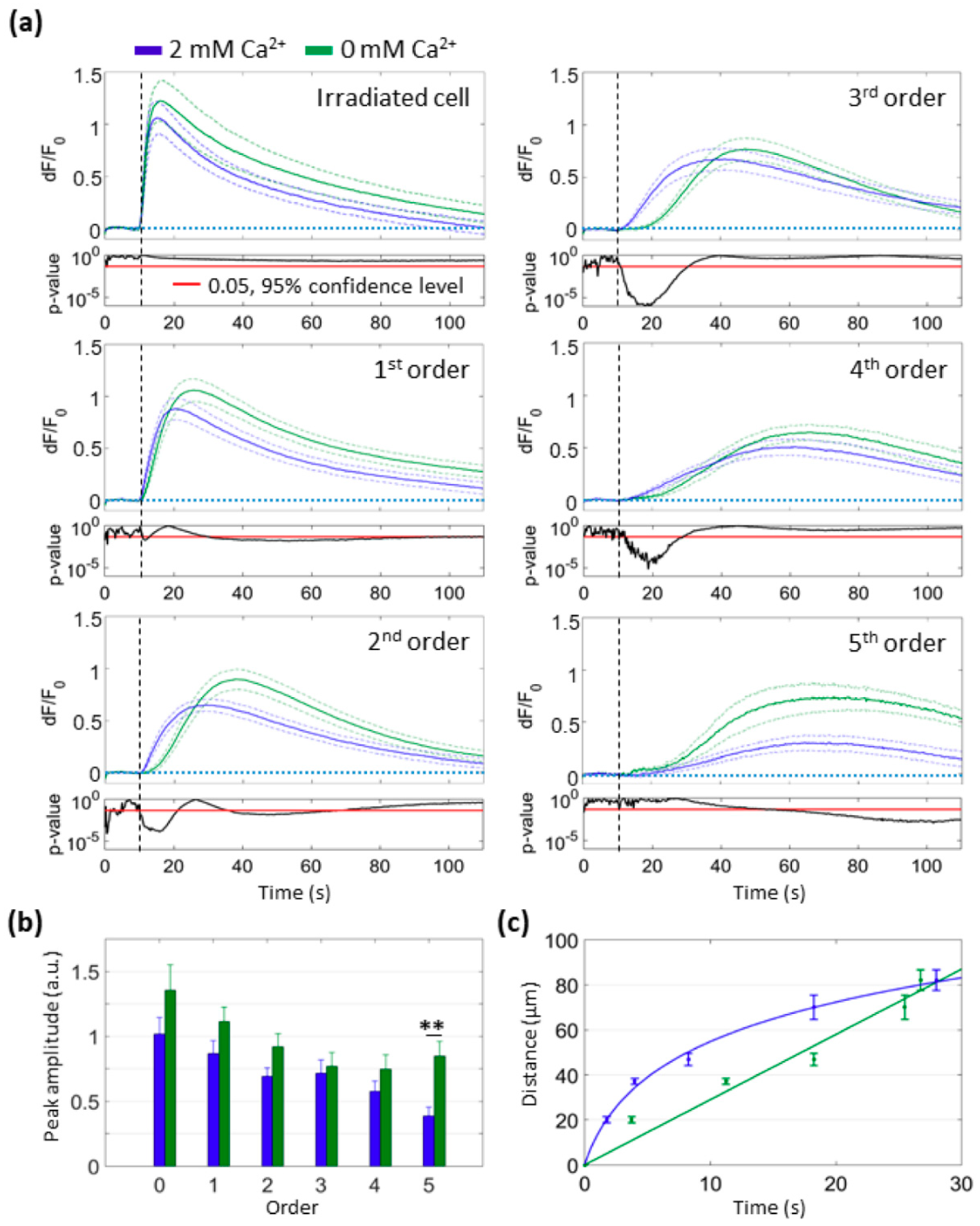 Cells 08 01175 g002 Cells 08 01175 g002
